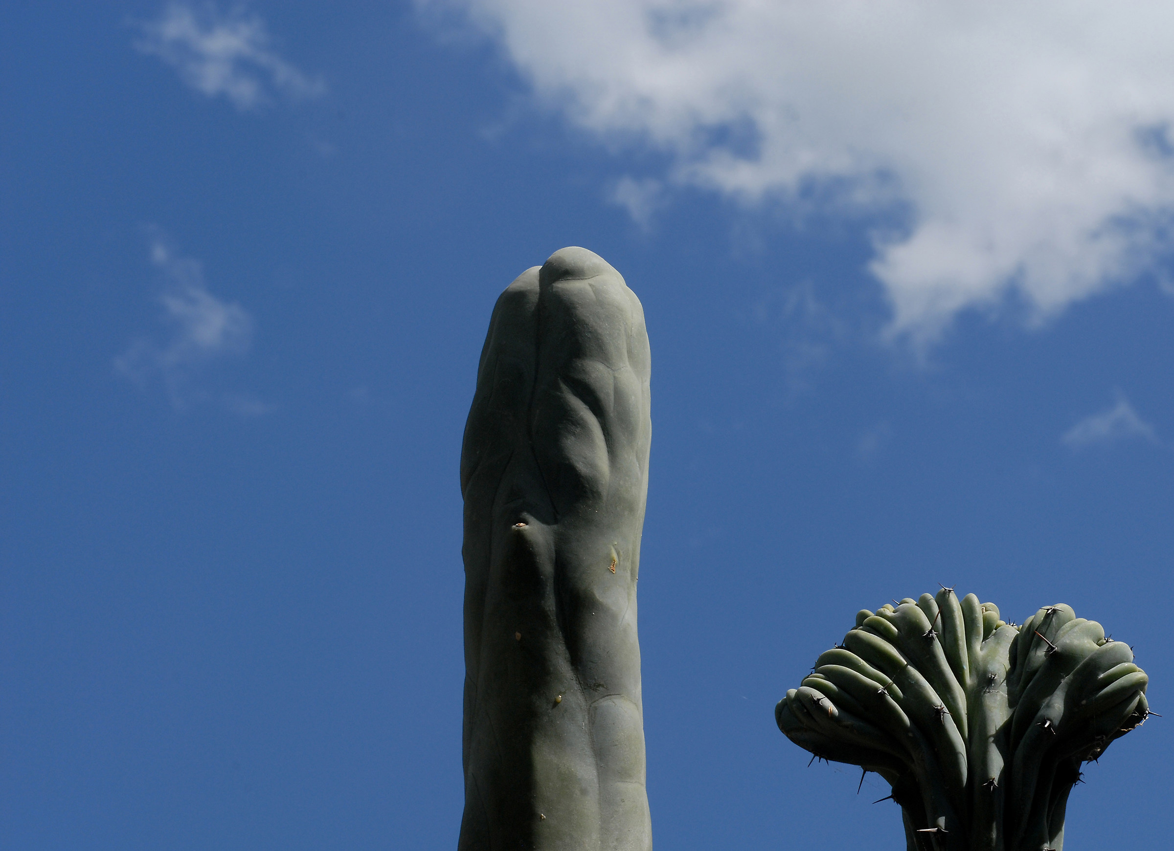 Monsters at the Sky attack