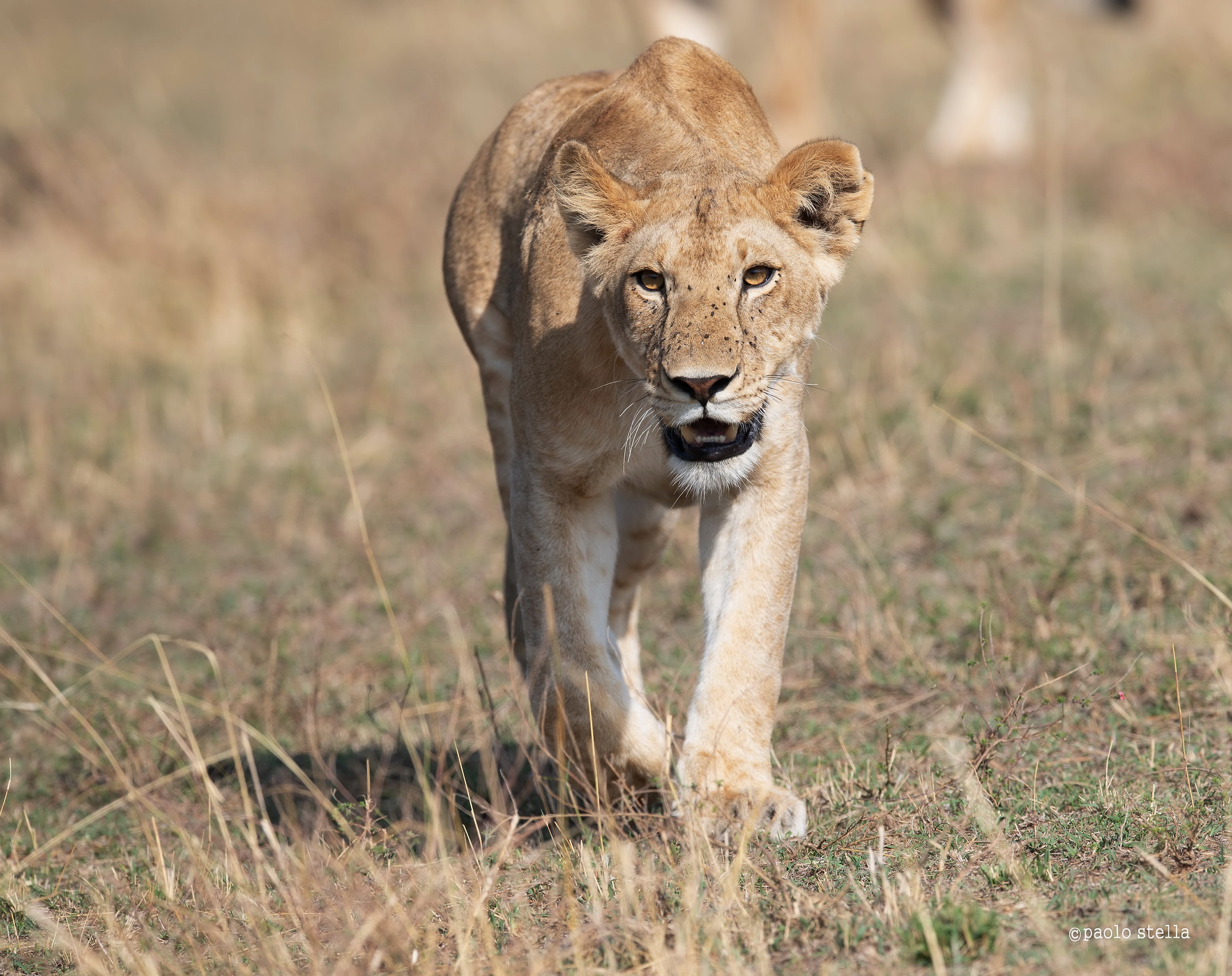 Possession and Beauty