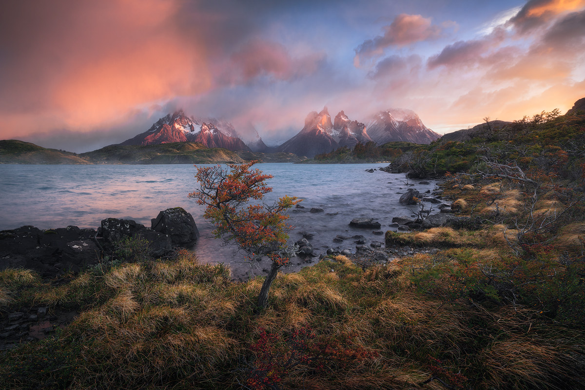 When the light comes out