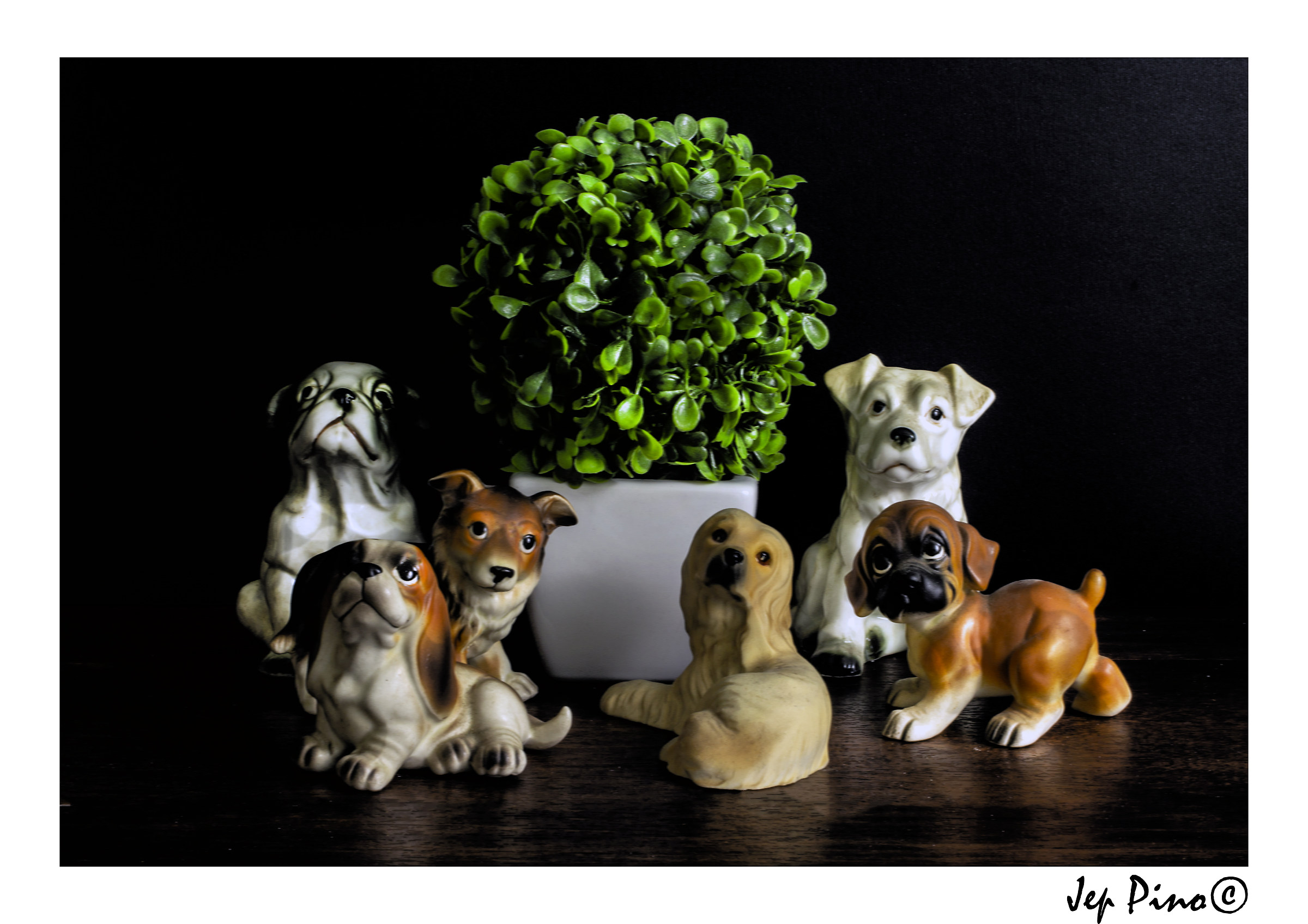 Buone vacanze insieme !!!