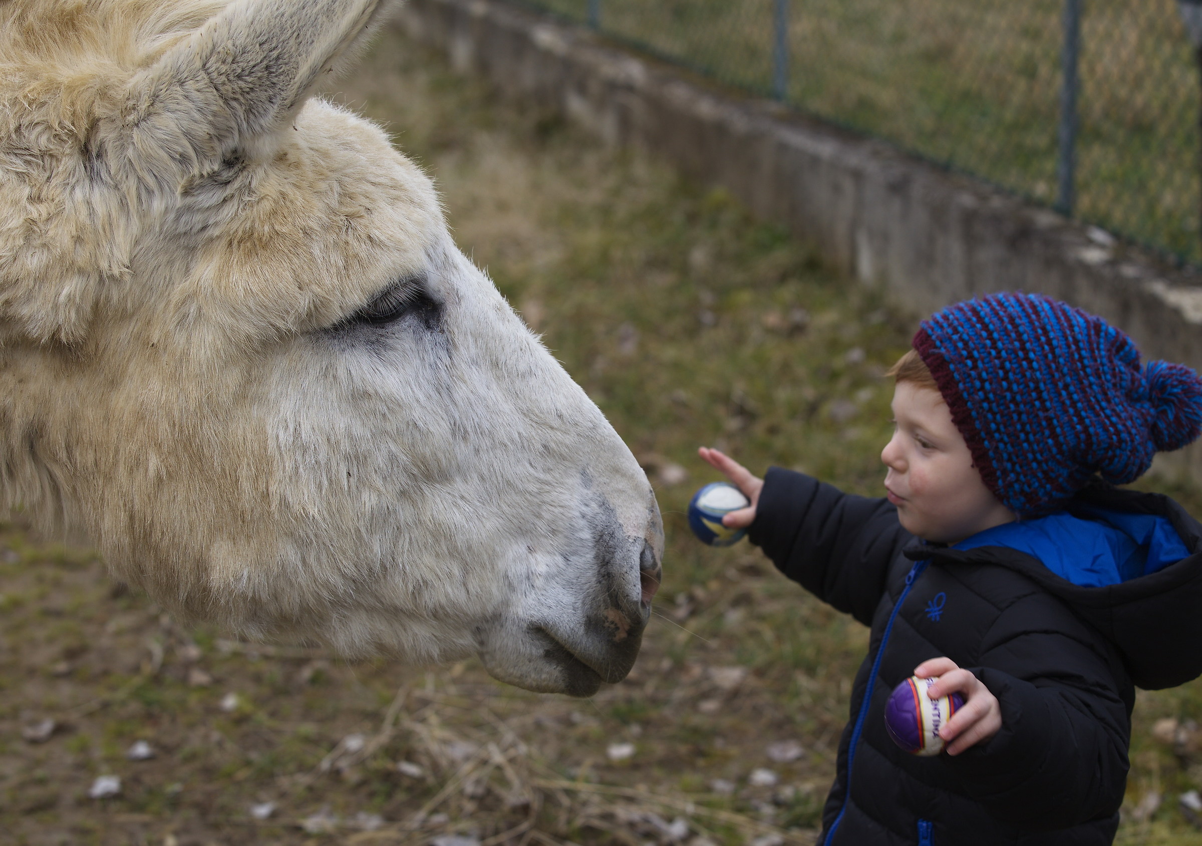 You want to play with me?