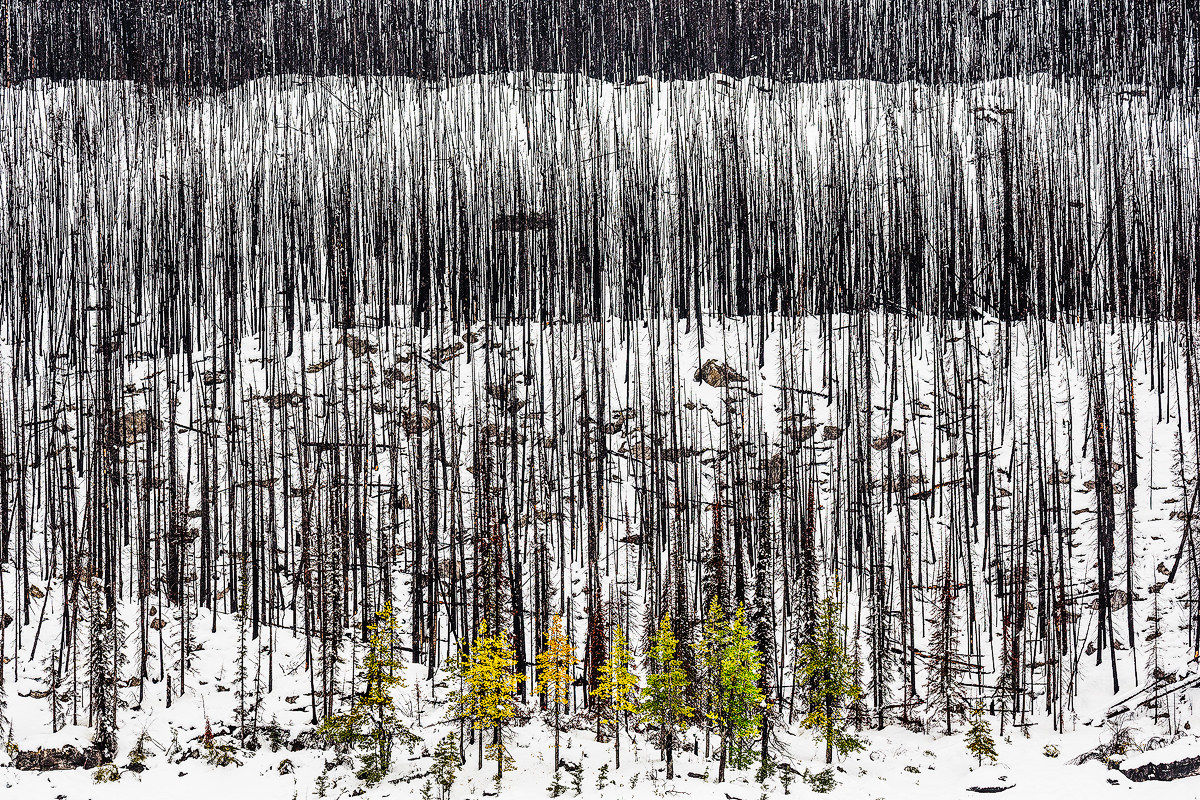 The last autumnal highs