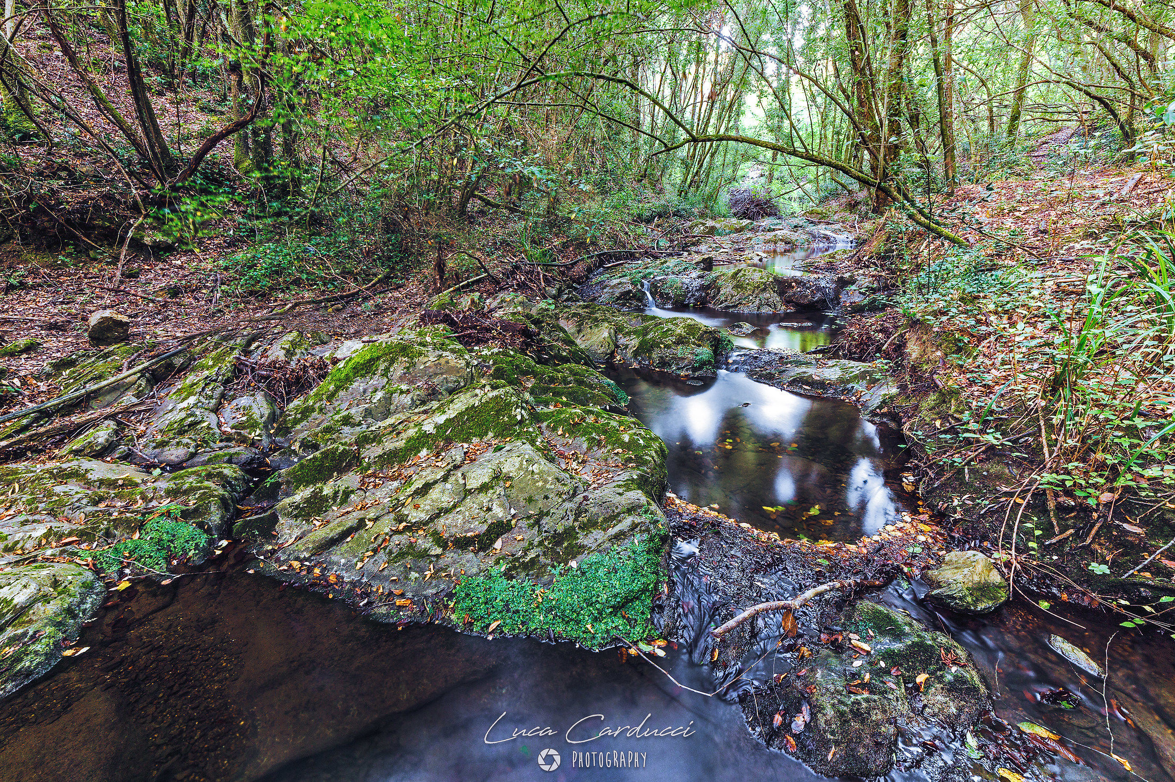 Risalendo il ruscello