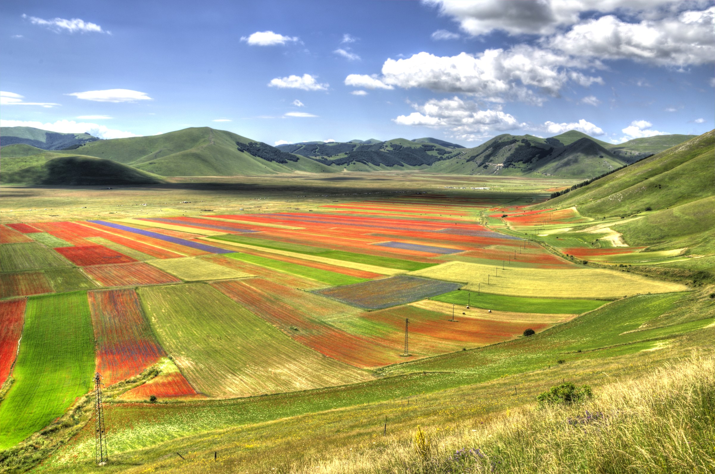Fioritura Castelluccio 2018