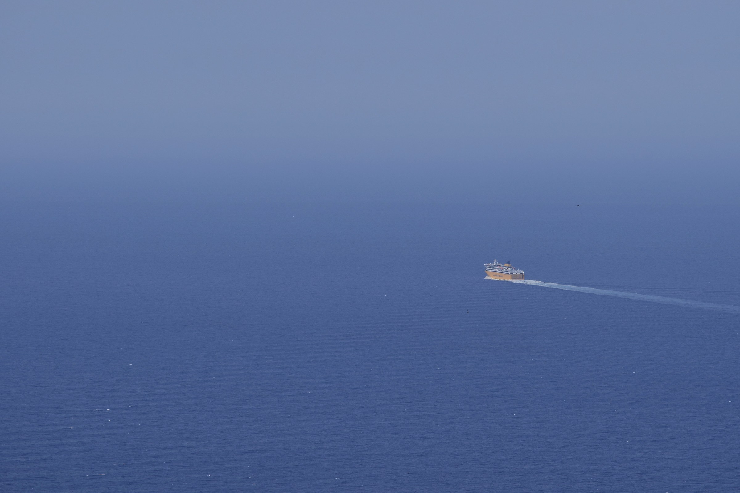 d5300 + nikkor 55-200 1/1250sec a f/8 iso 100