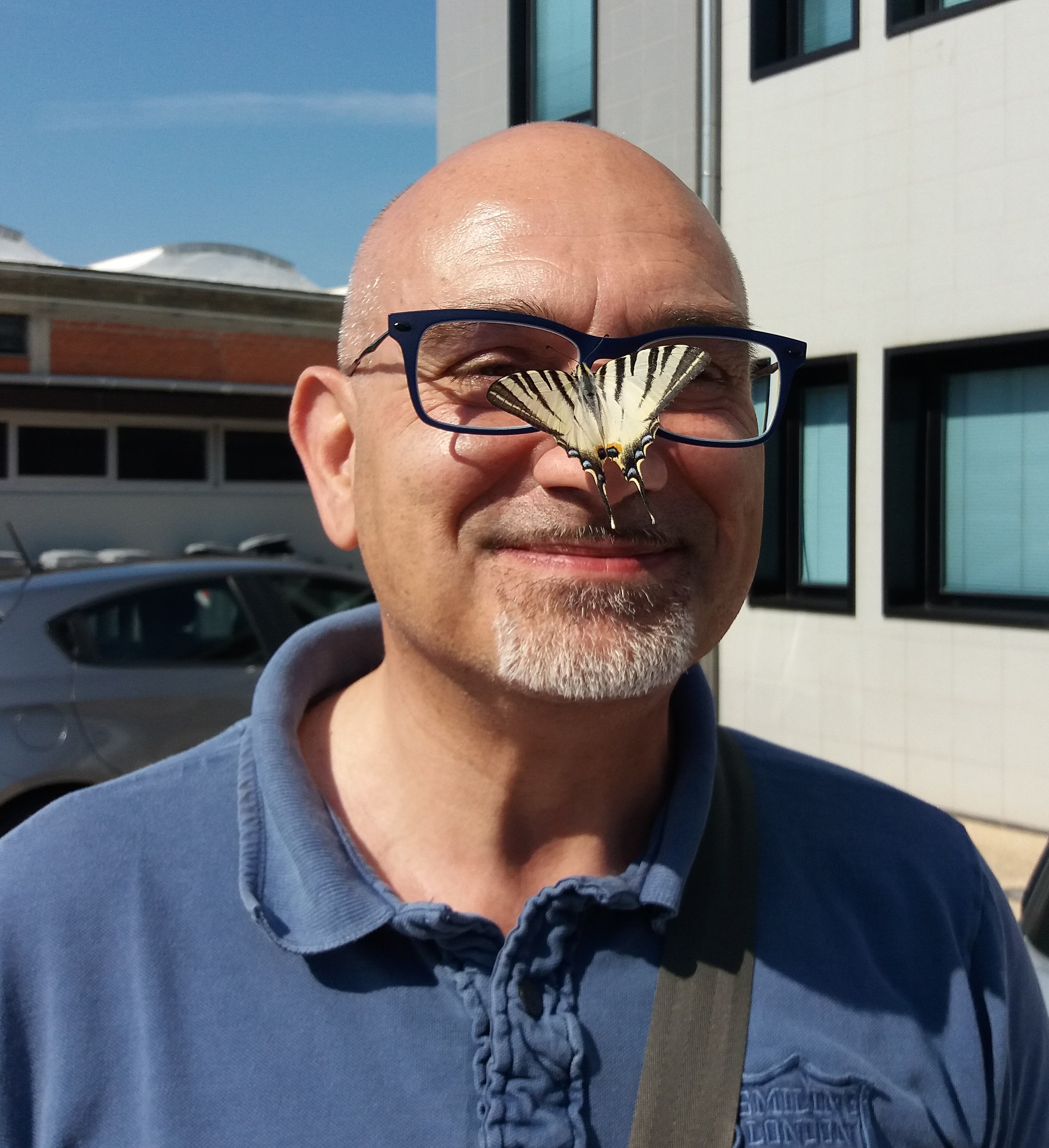 The Beauty and the Beast