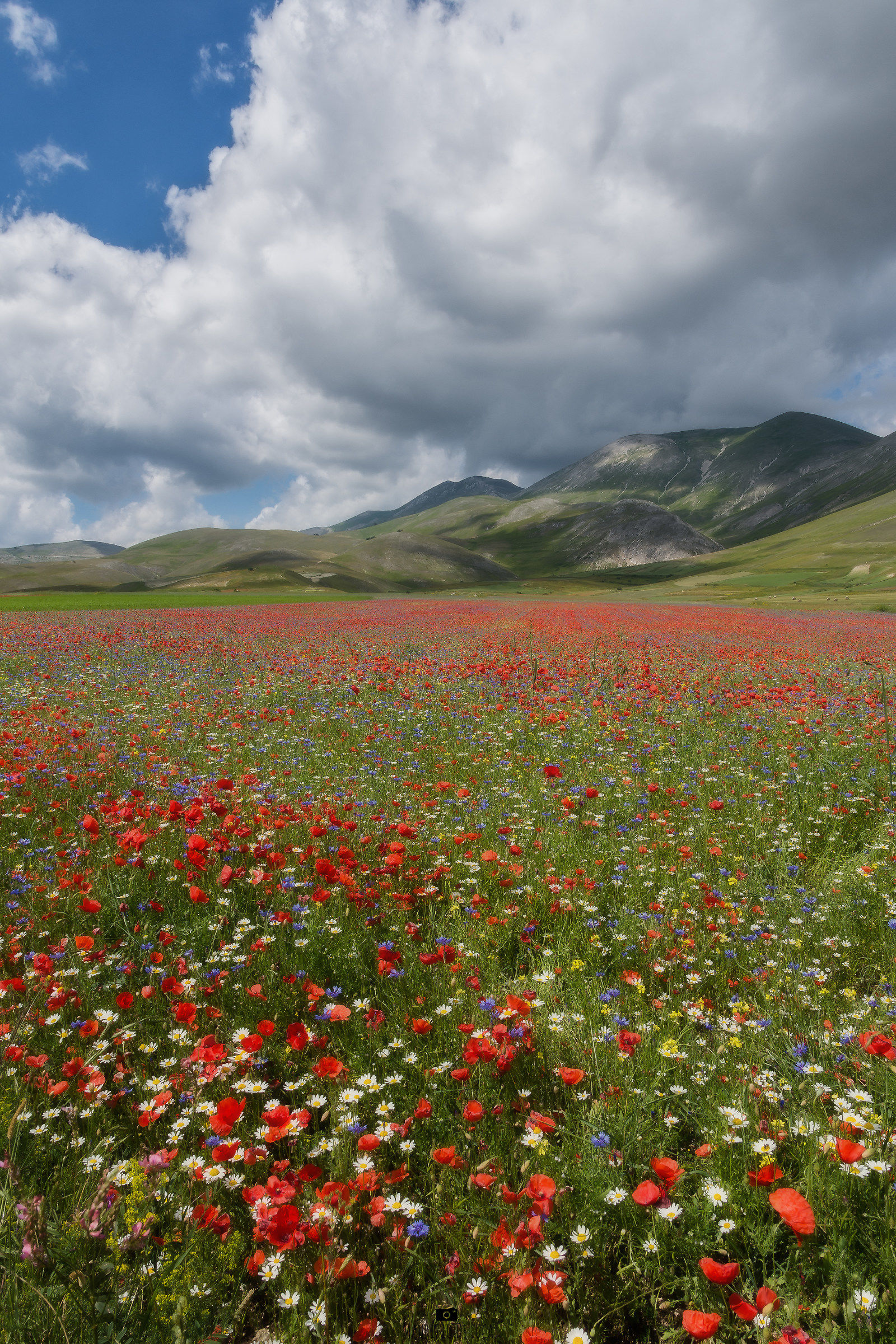 Castelluccio di Norcia