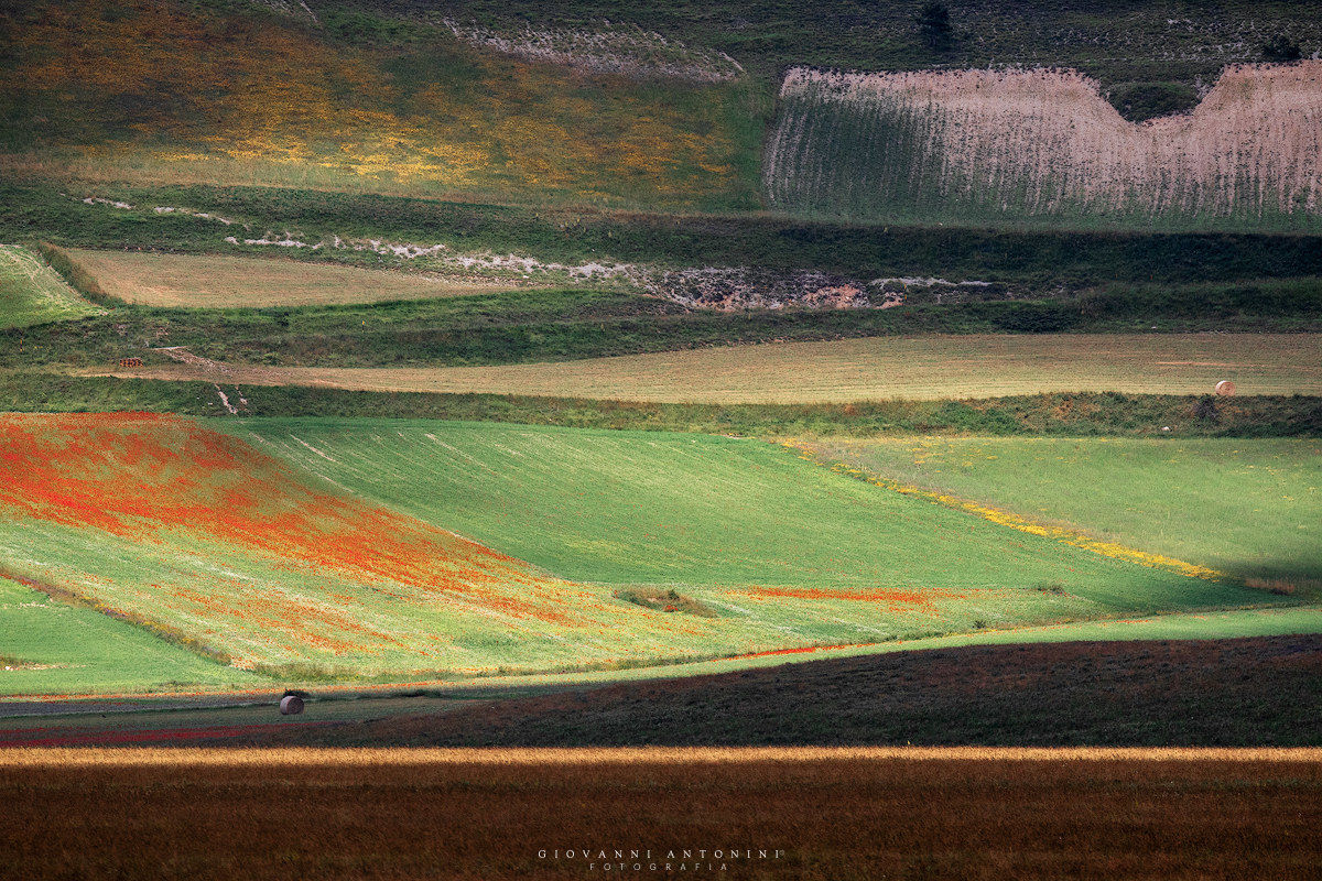 Castelluccio 2018