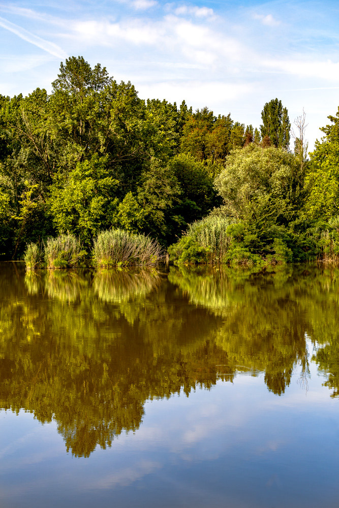 Reflections in the Reserve