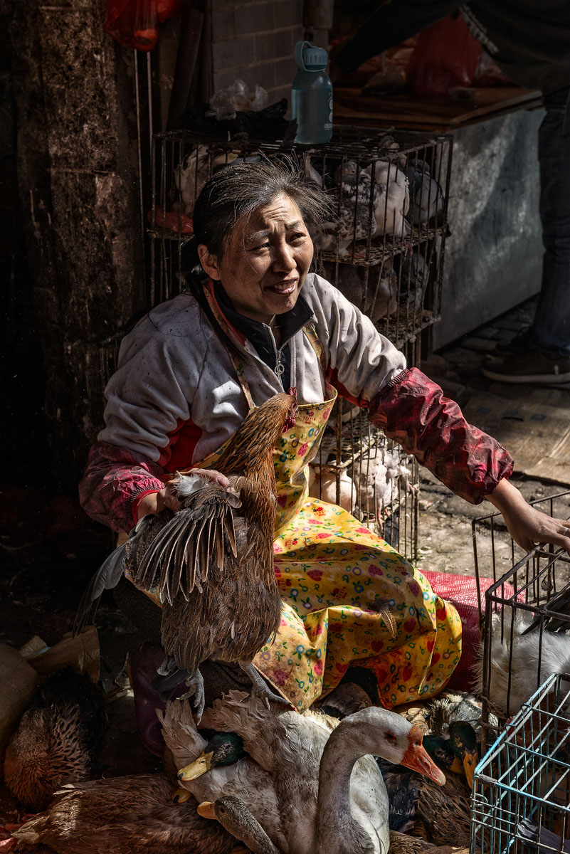 Pollivendola, Shanghai