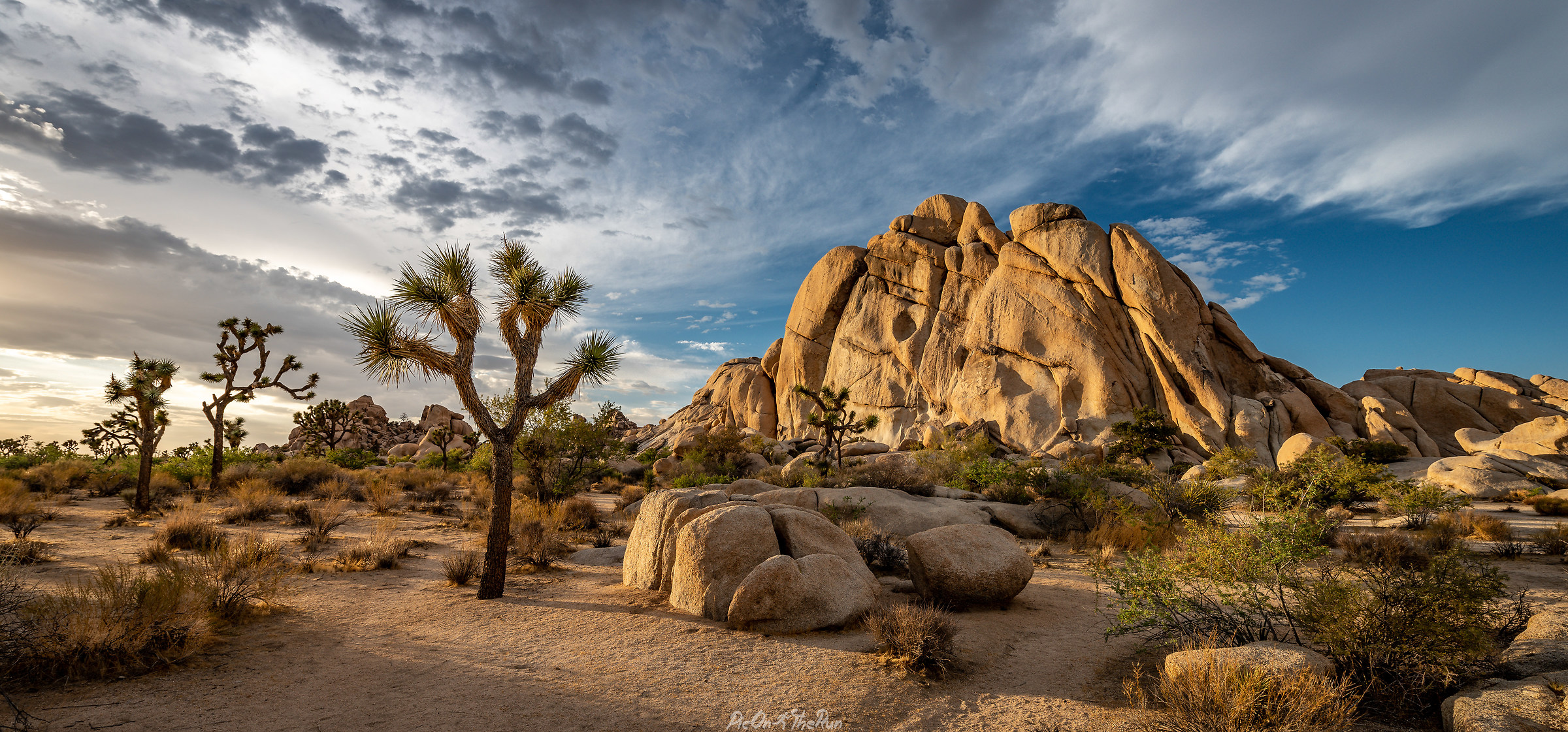 Joshua Tree NPS by Sunset
