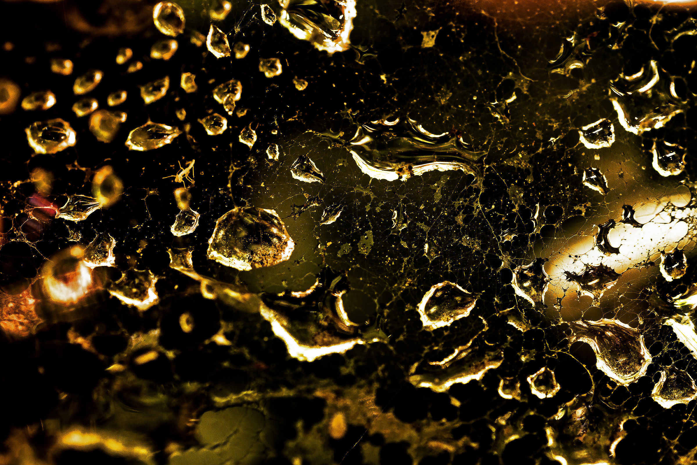 Galassie su una ragnatela