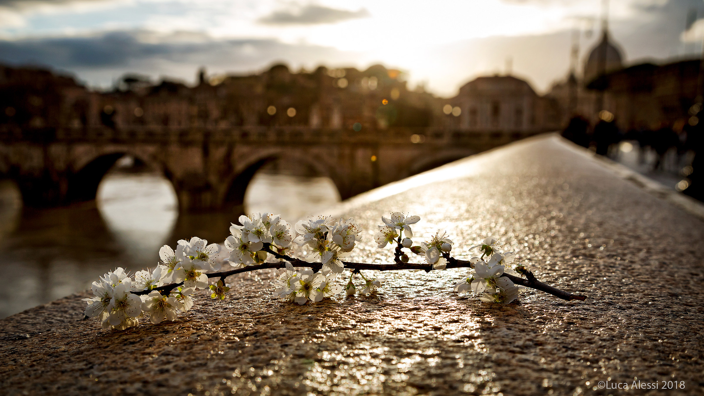 Primavera Capitolina