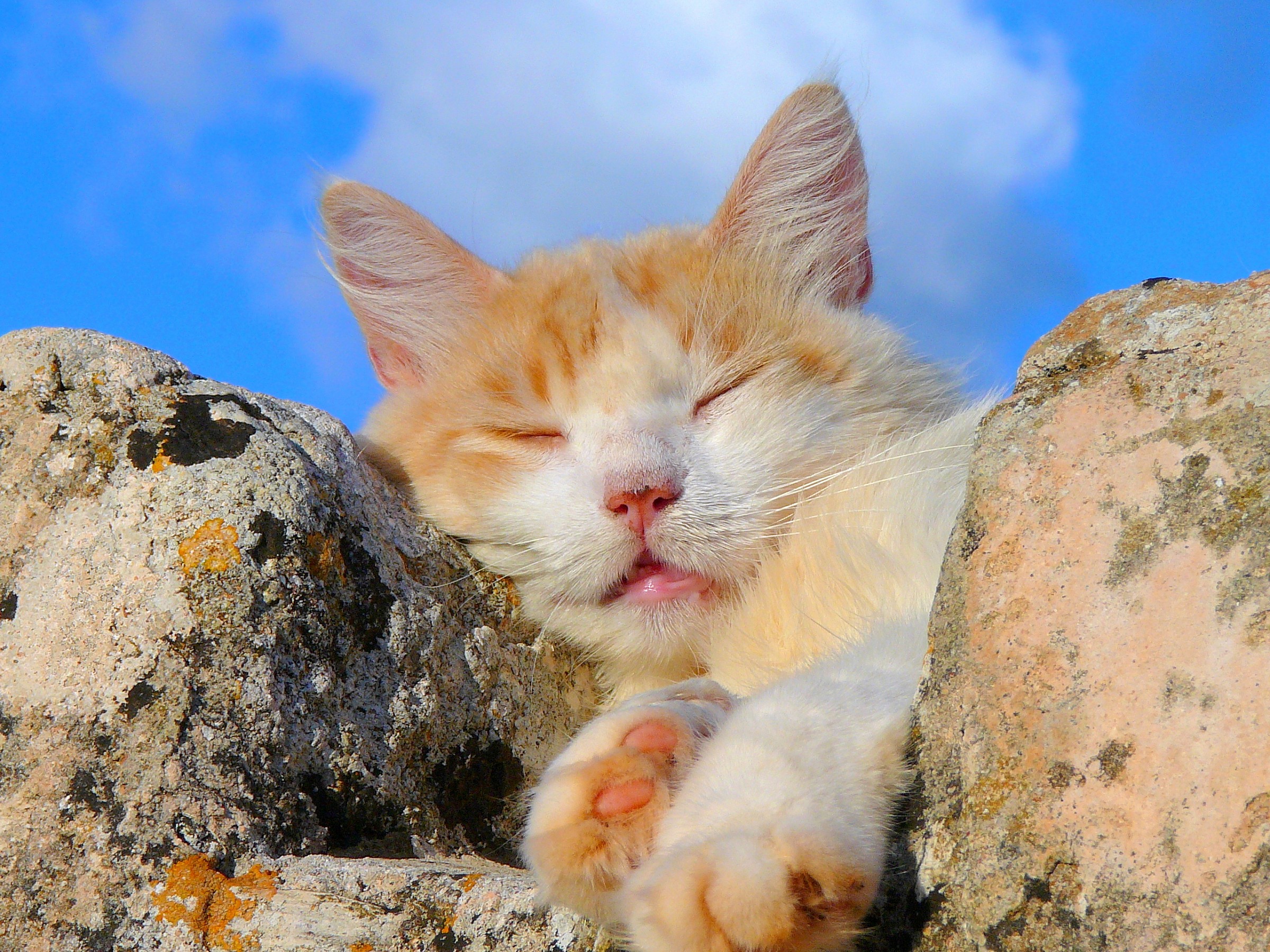 I slept in ...........................