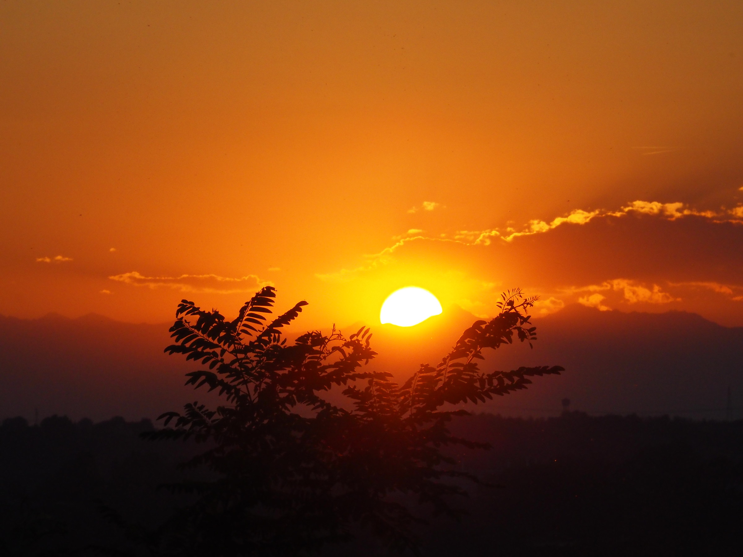 Il tramonto delle Langhe
