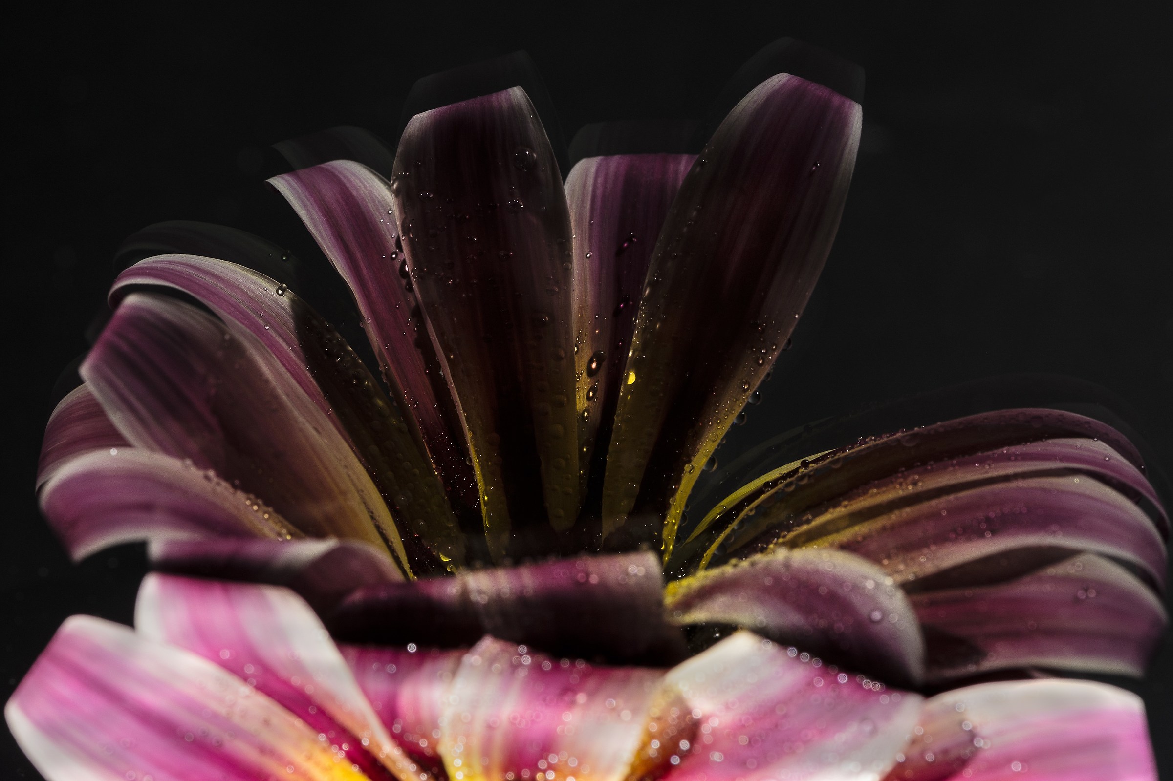 Riflesso bella di giorno