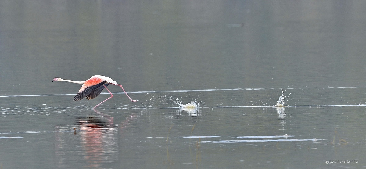 cammino sull'acqua......