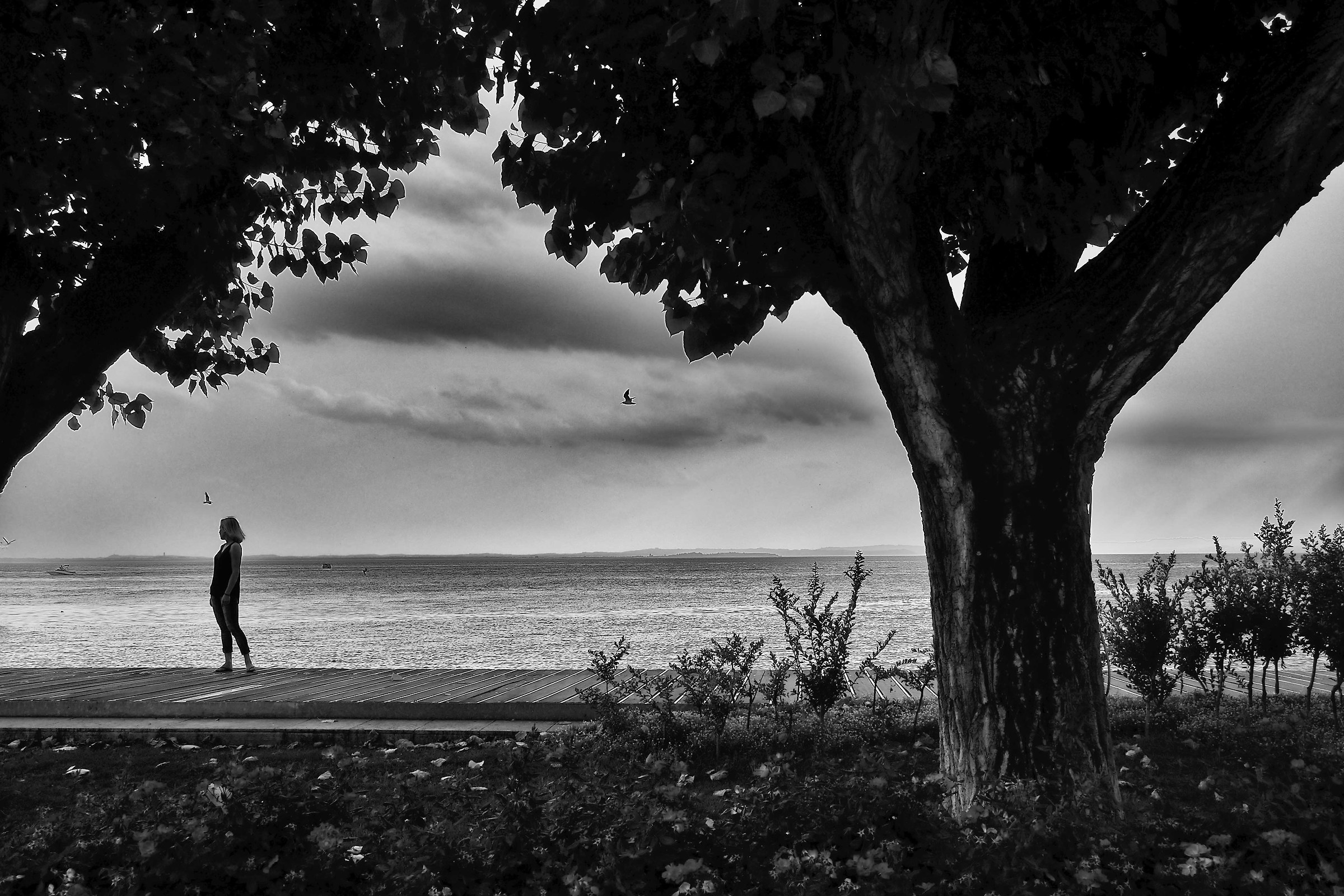 Lungolago di Bardolino