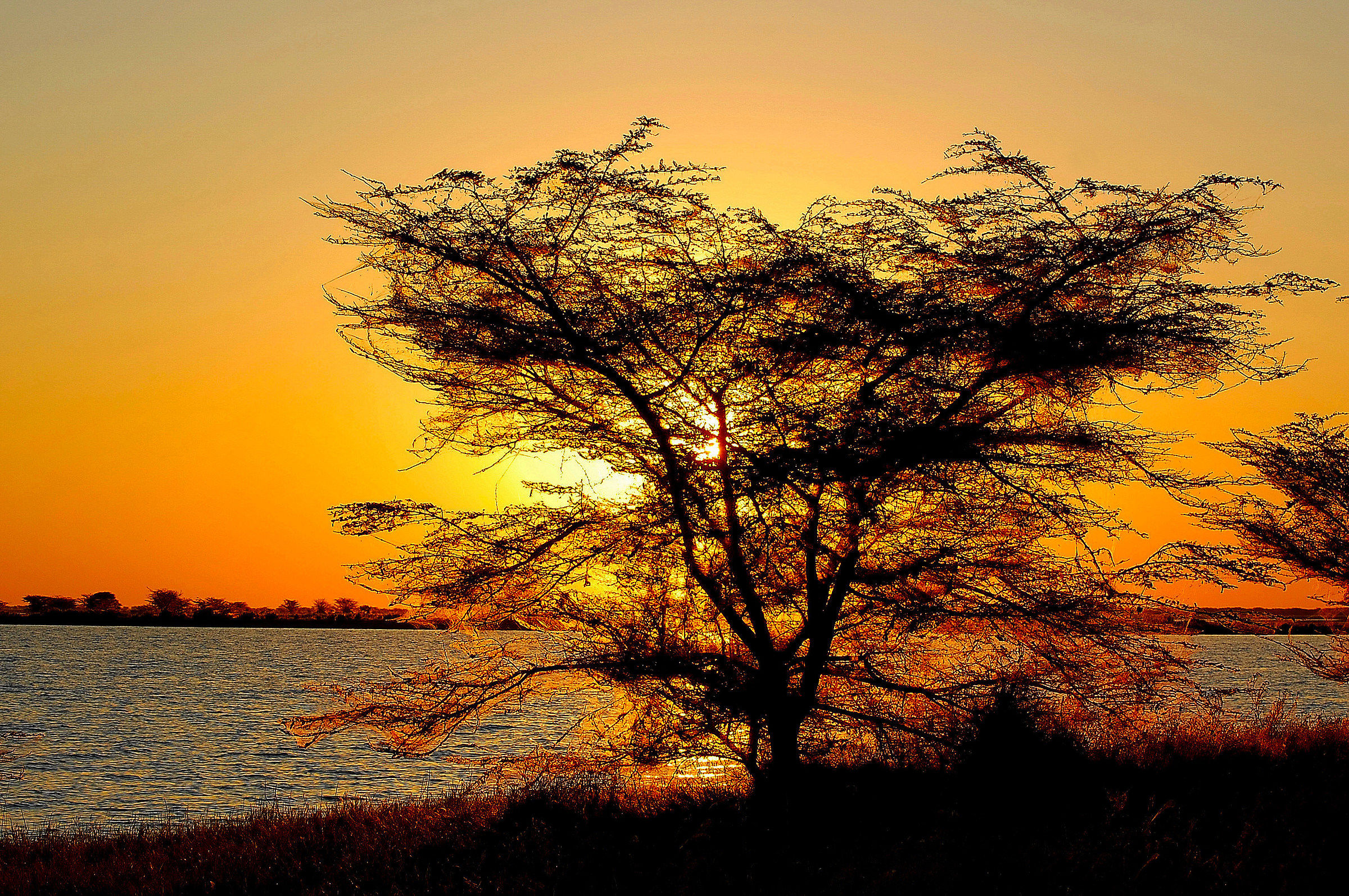 Botswana-Makgadikgadi Pans:tramonto sul lago salato