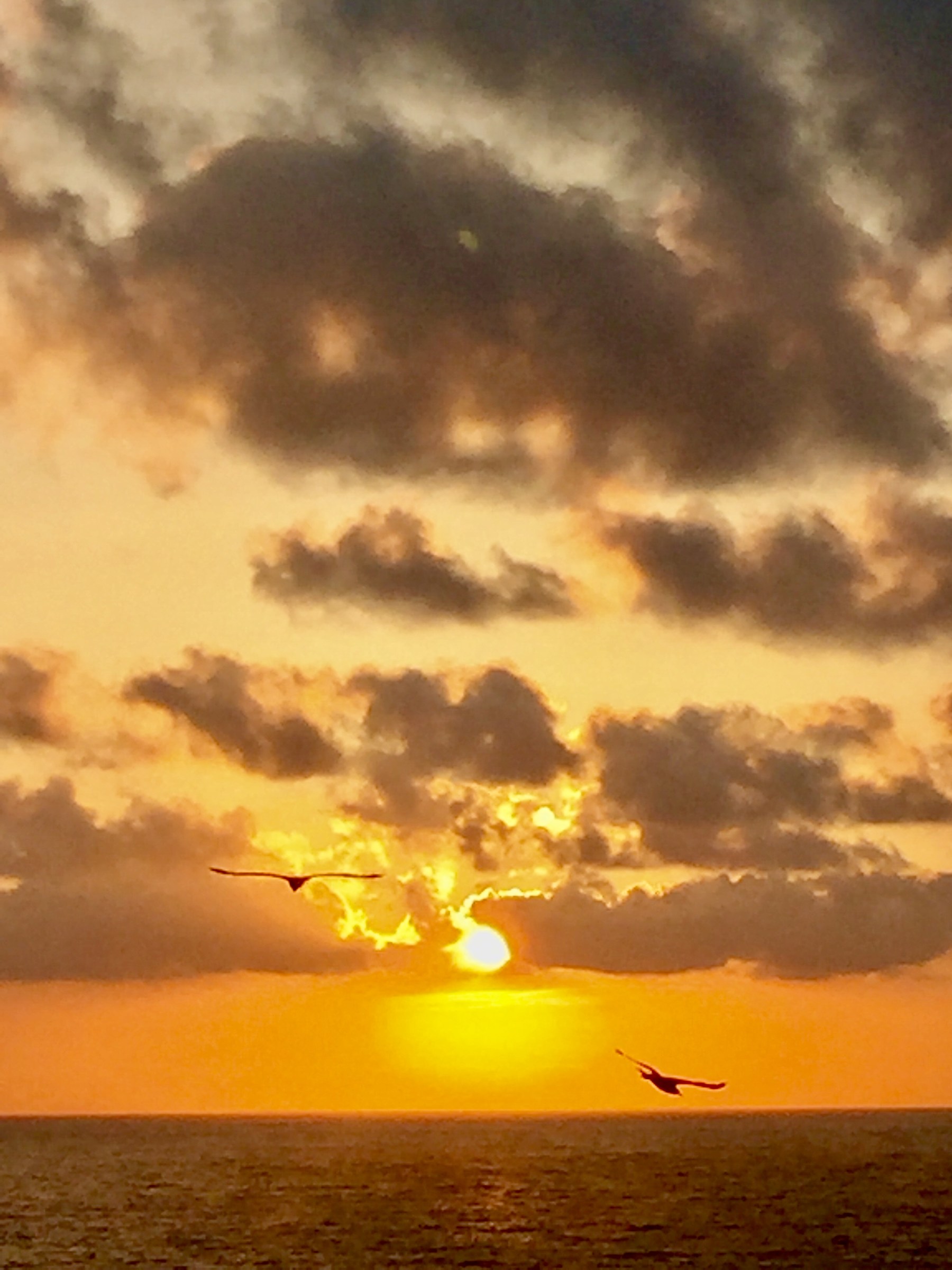 Tramonto a terrasini