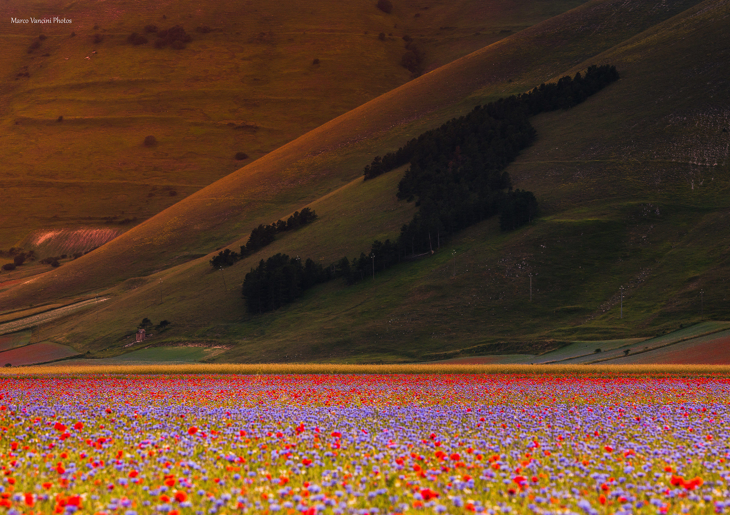 Simply Casteluccio di Norcia