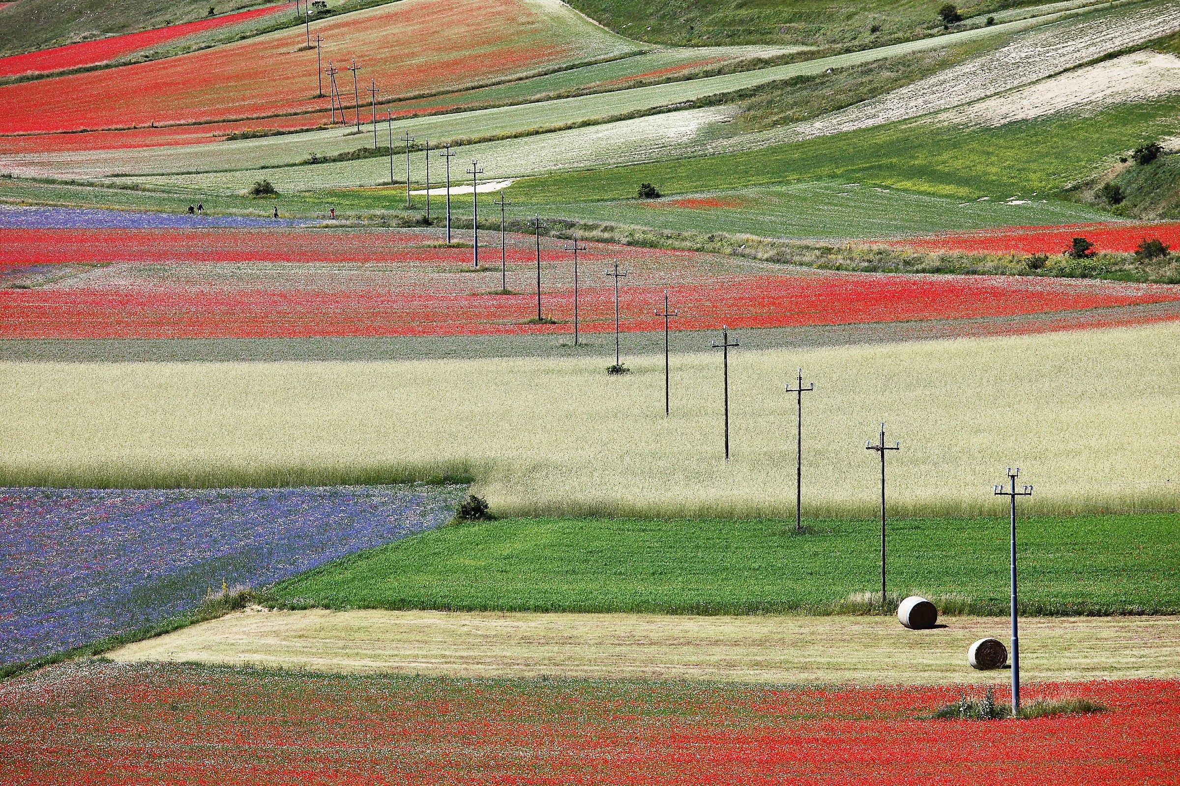 Colori elettrizzanti