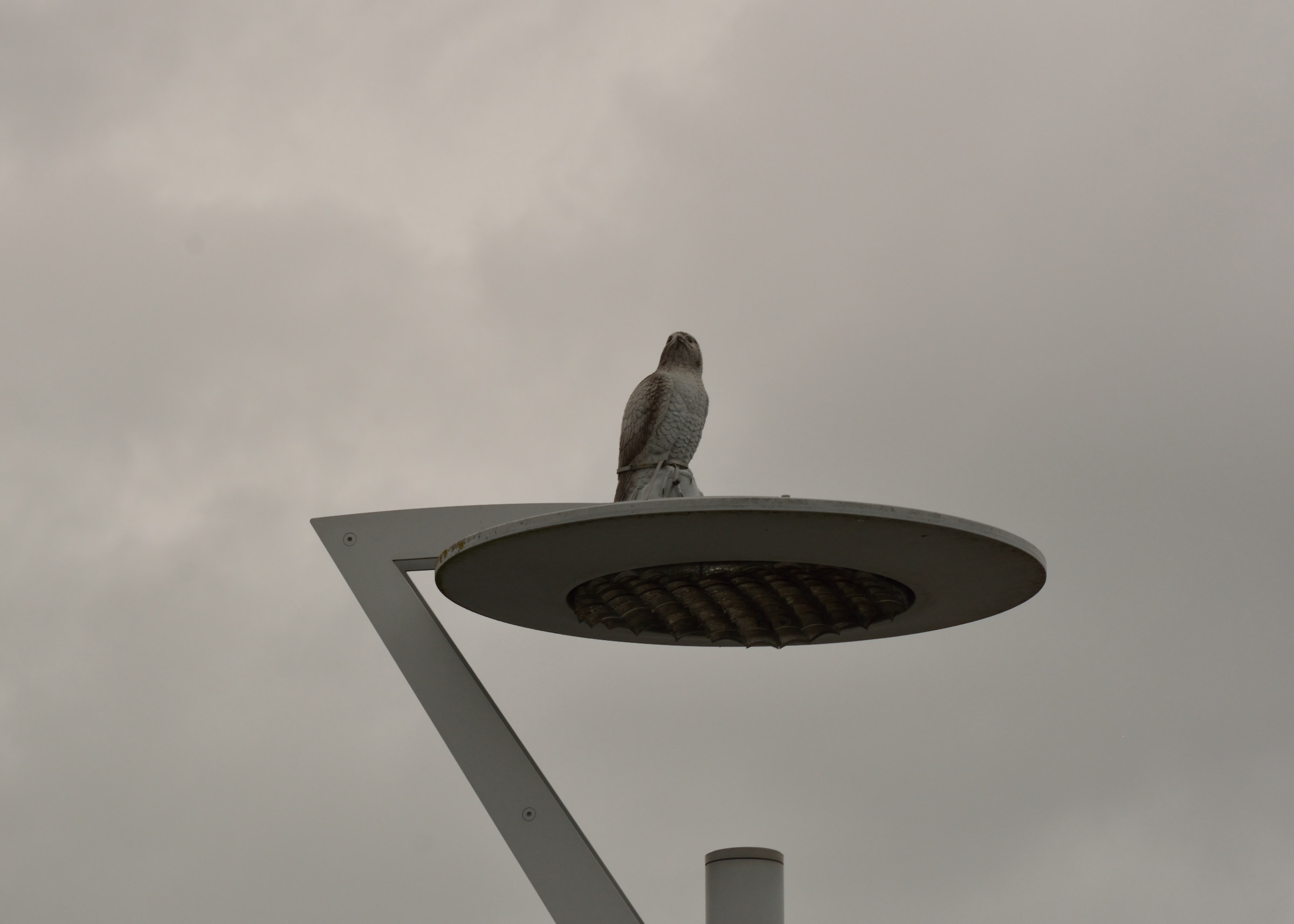 What do they invent.......