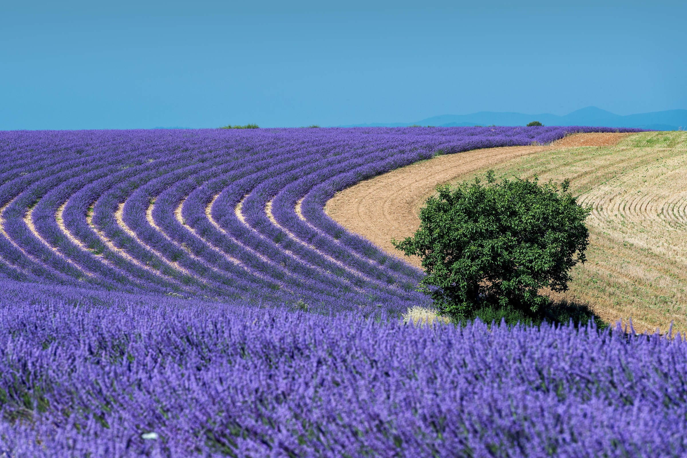 Colors, lines and volumes!