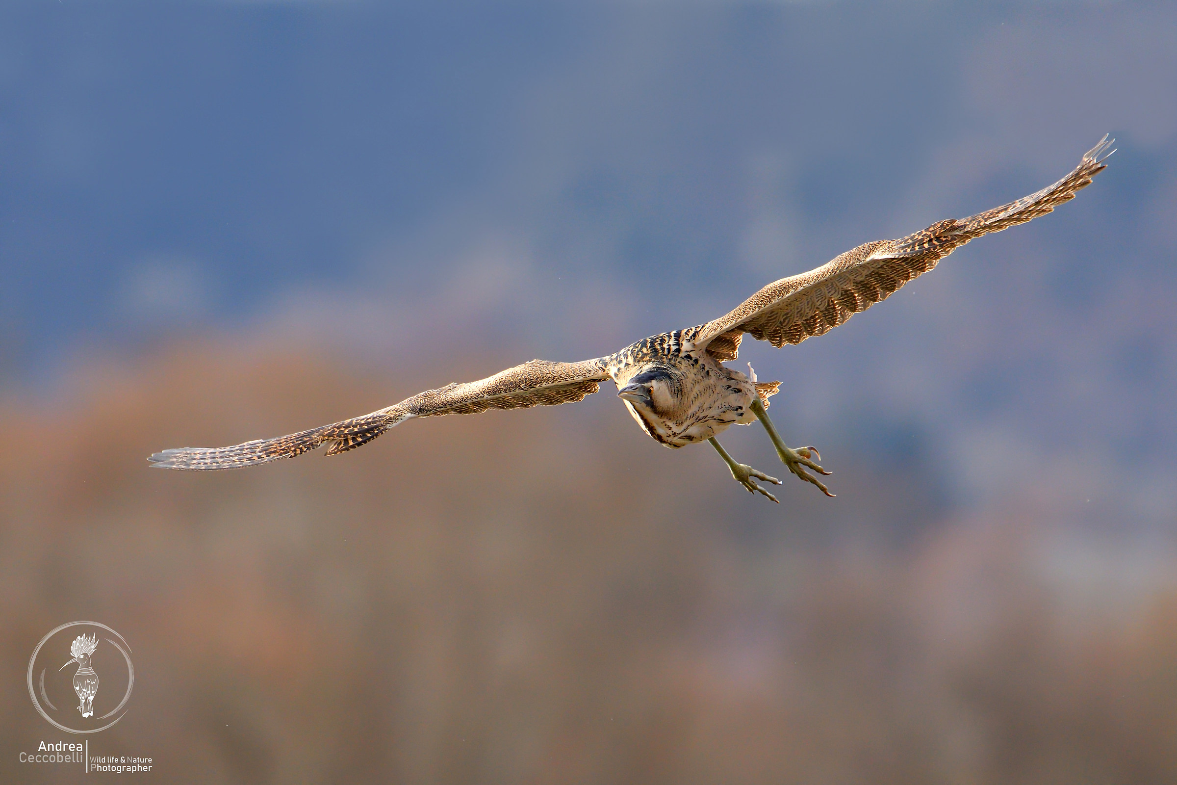 Attacco al tramonto...