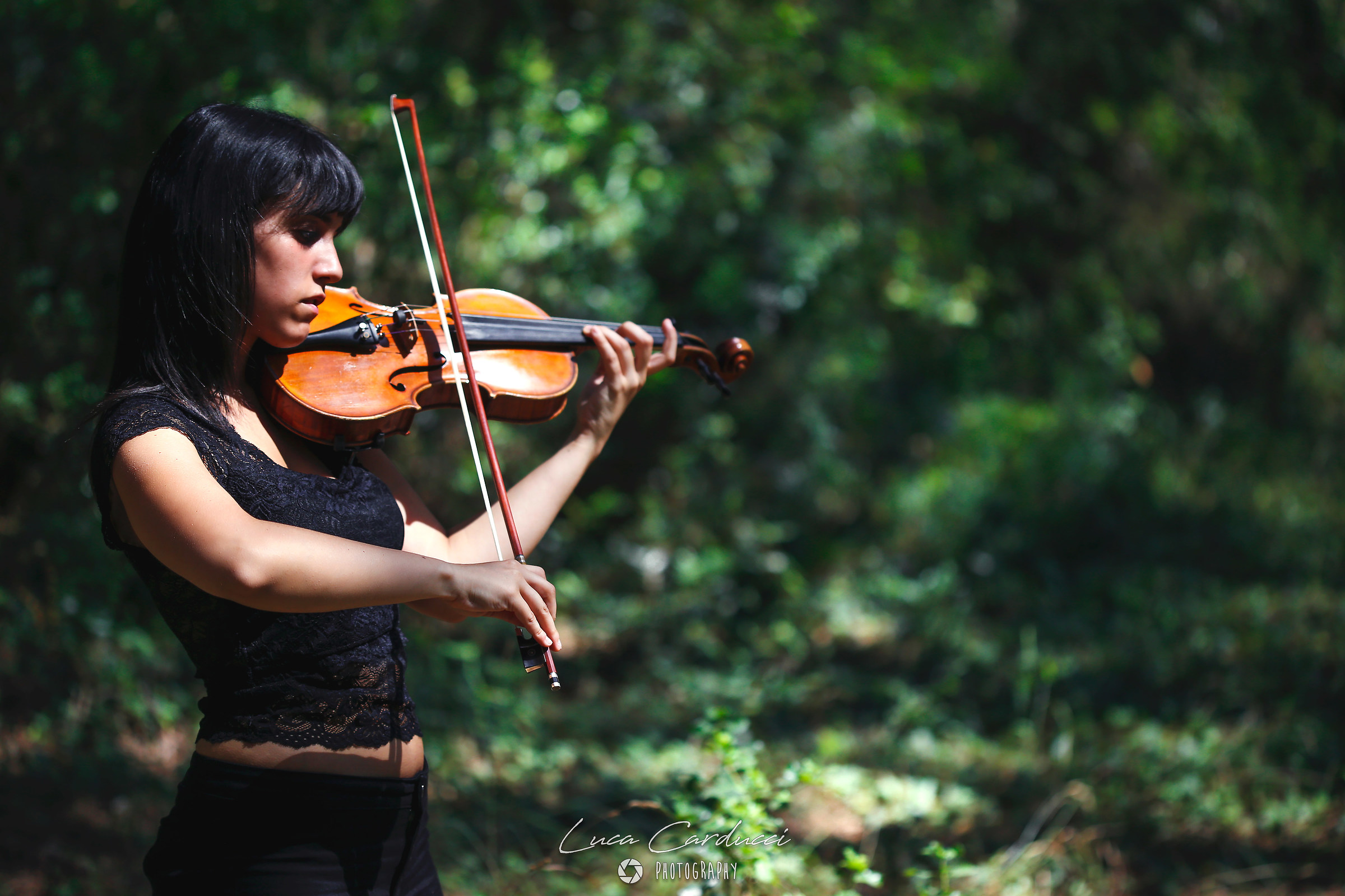 Melodies in the Woods