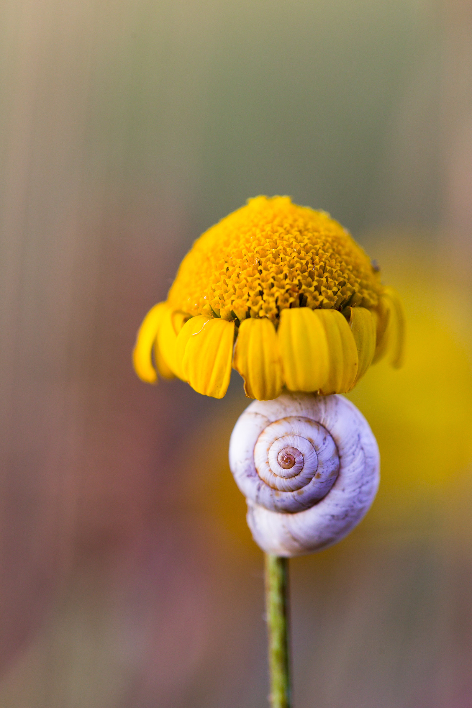 E io mi riparo qui...