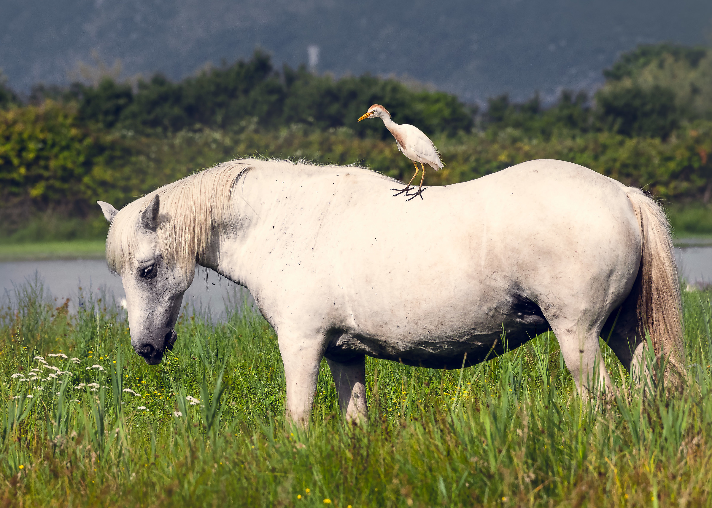 I ride as well... But not a horse