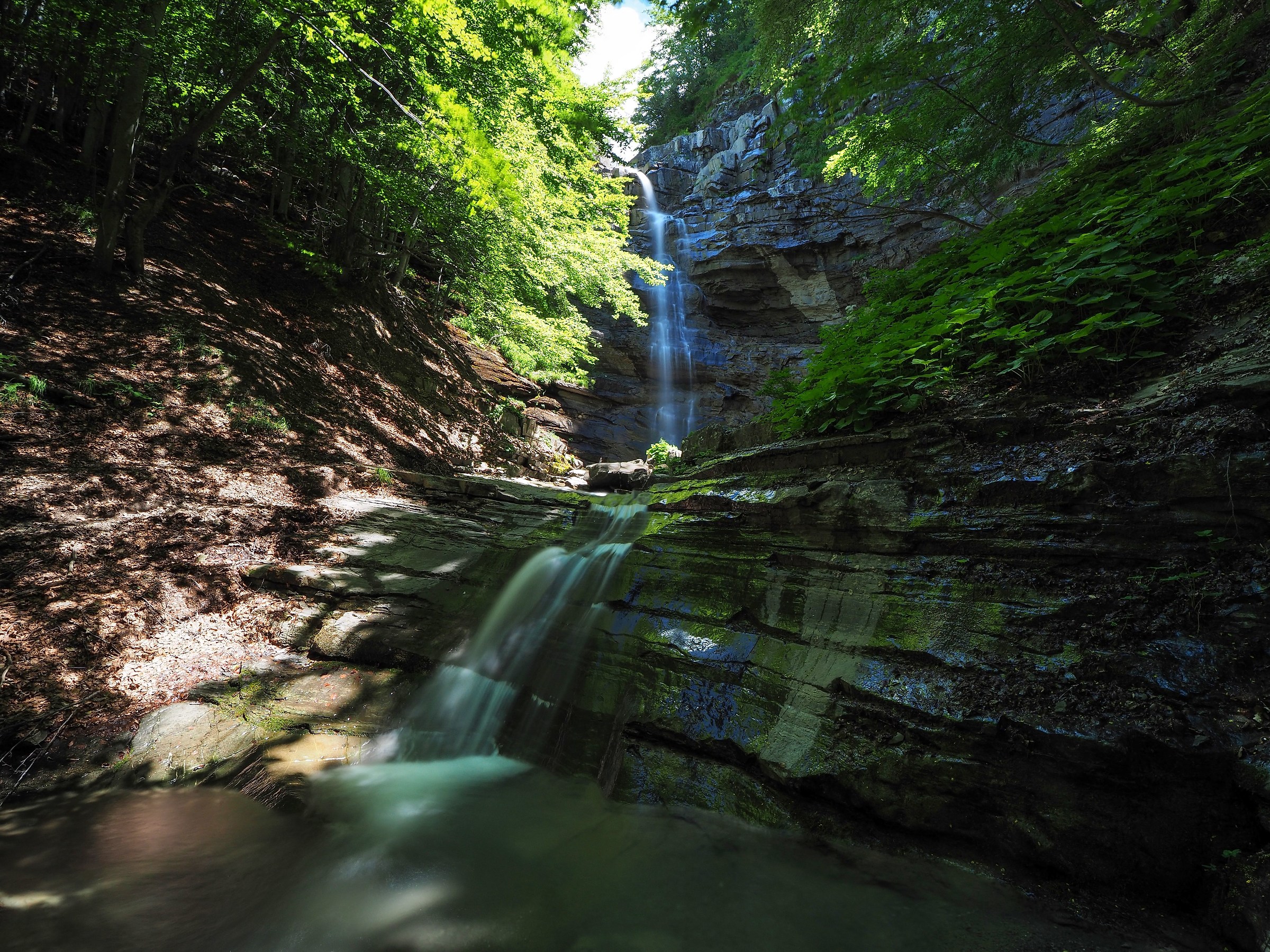 in cerca di refrigerio