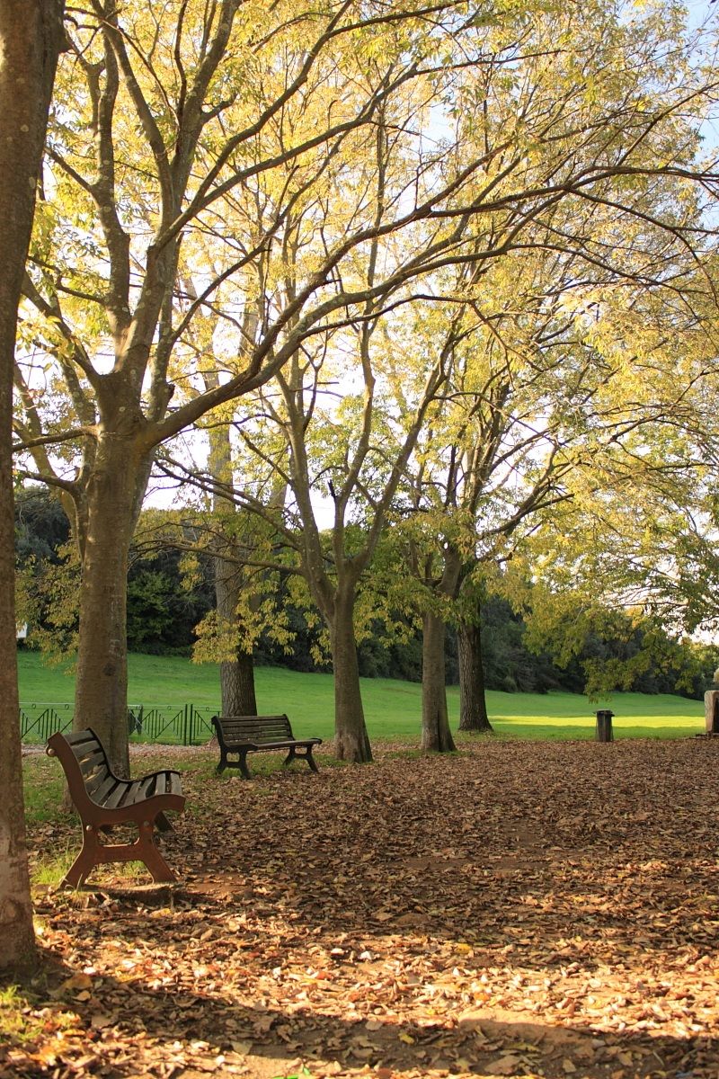 Passeggiando per Villa Doria Pamphilj