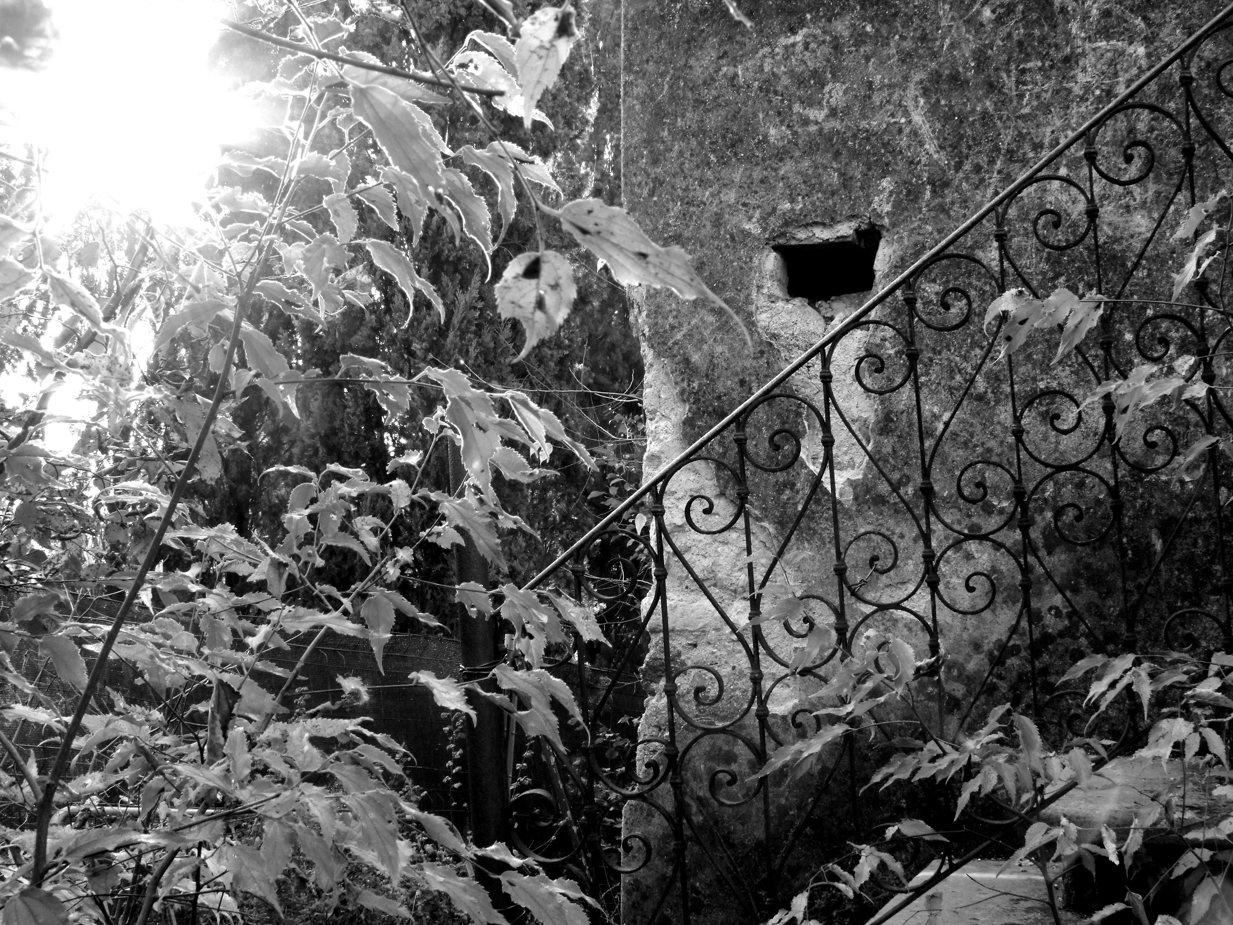 The abandoned old staircase