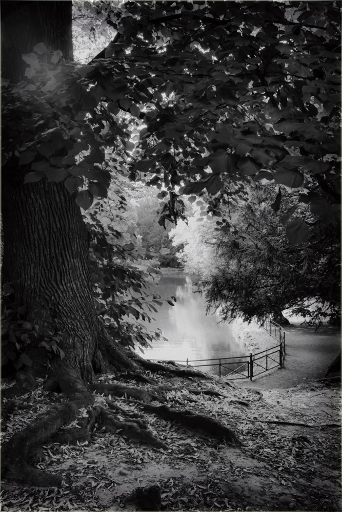 Not the usual view-park of Monza