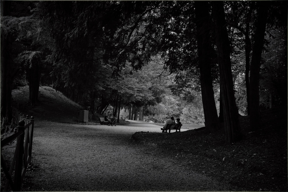 In the shadow-park of Monza