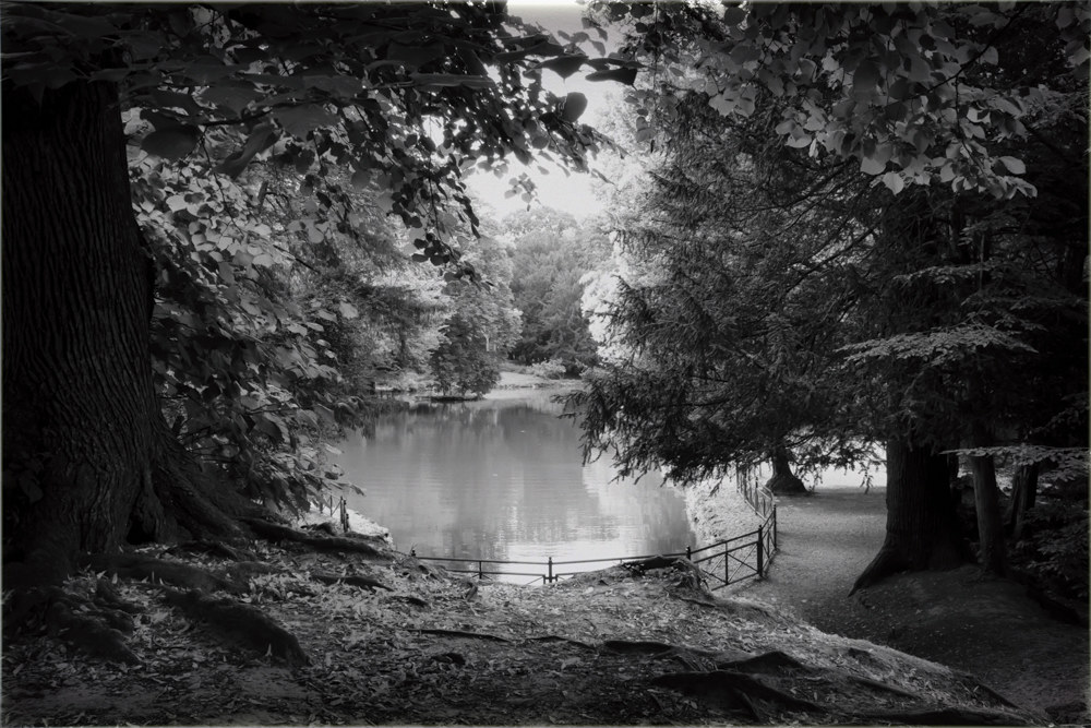 Points of view-Monza Park