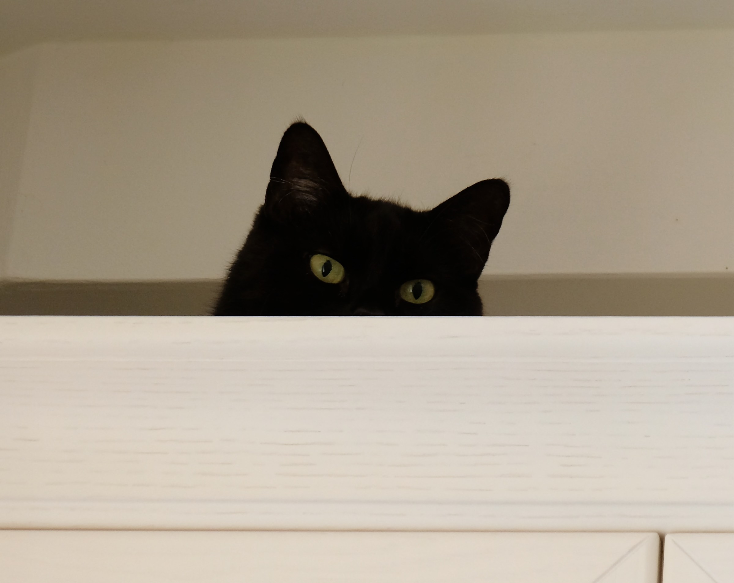 Qui non mi vede nessuno..