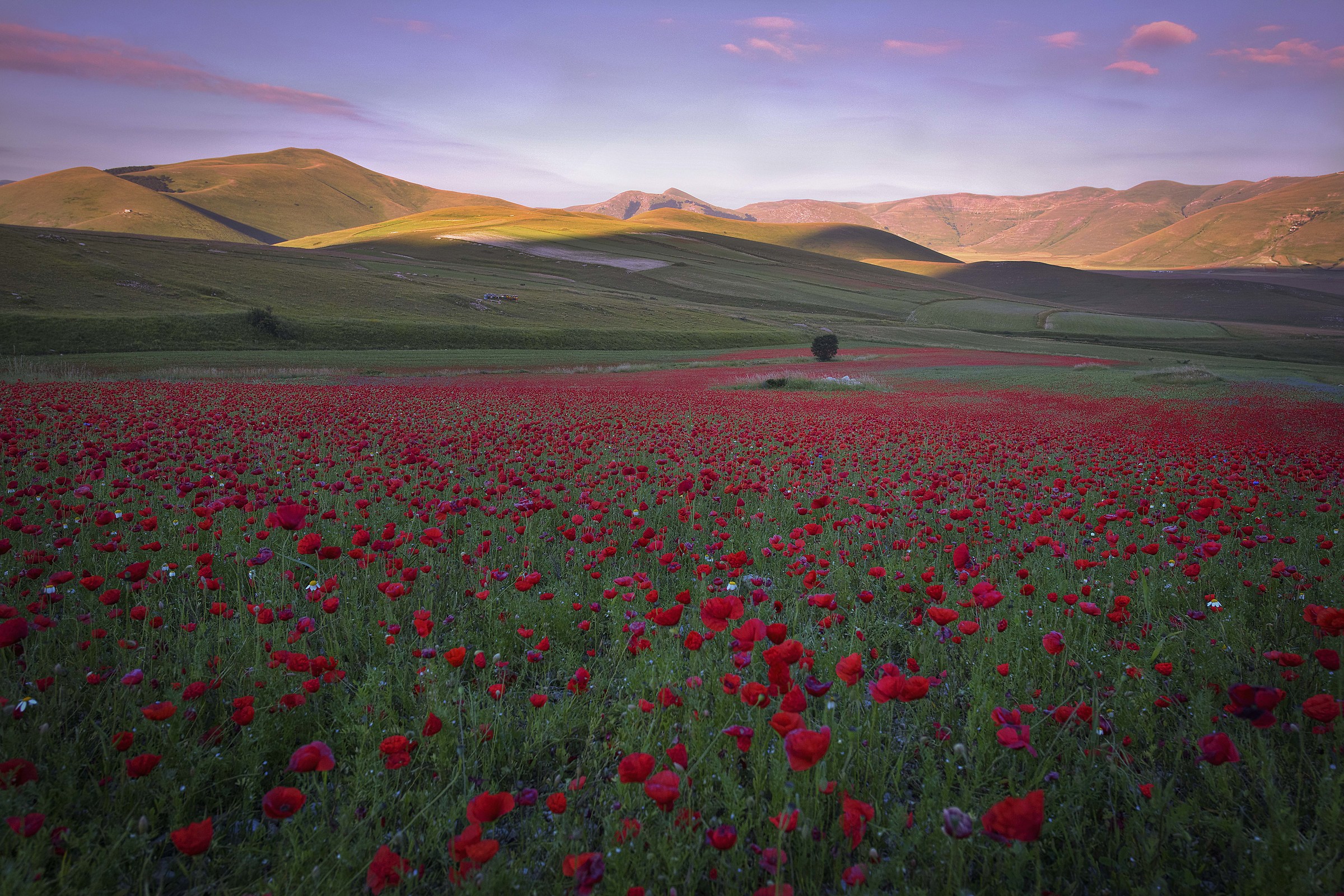 castelluccio, my love