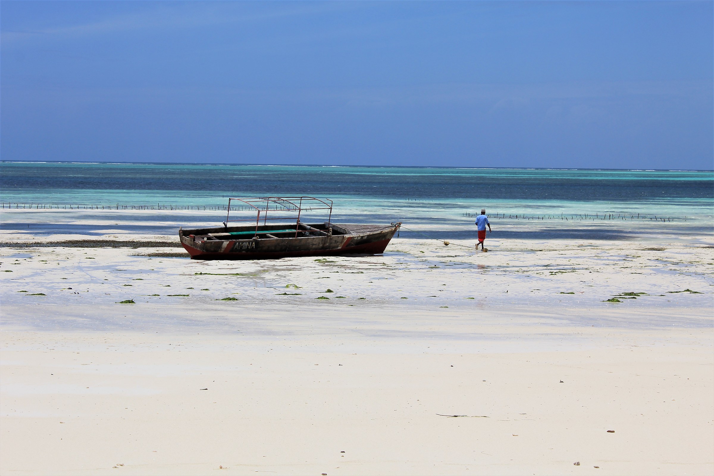 Indian Ocean-Low tide