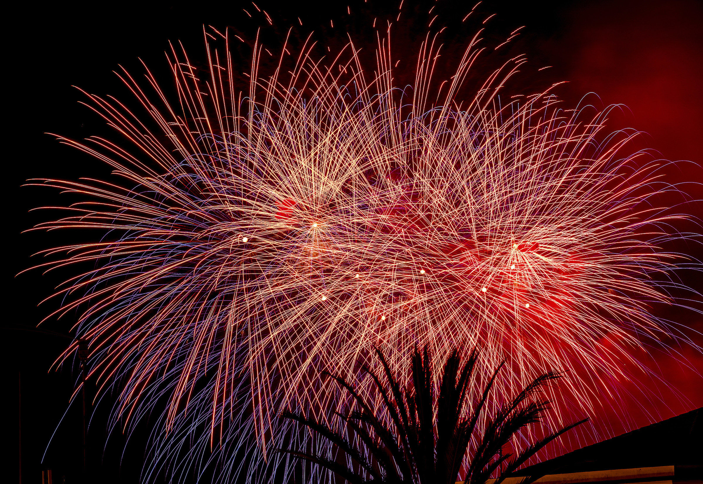 il festino di Santa Rosalia