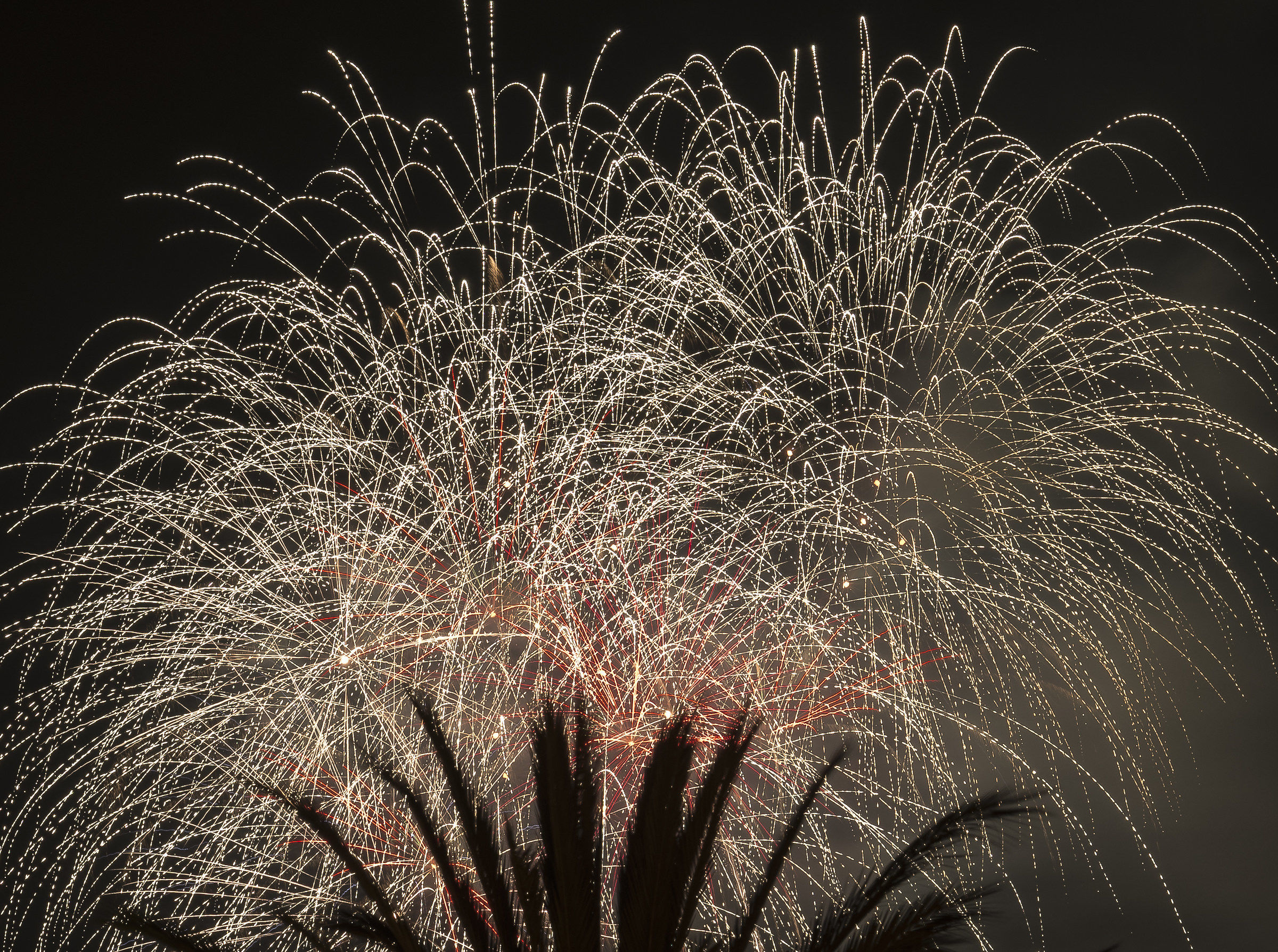 il festino di Santa Rosalia