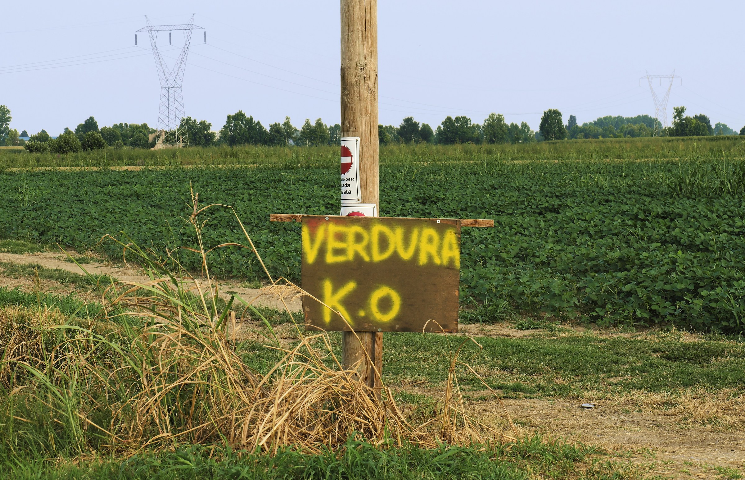 Quest'anno è andata male..