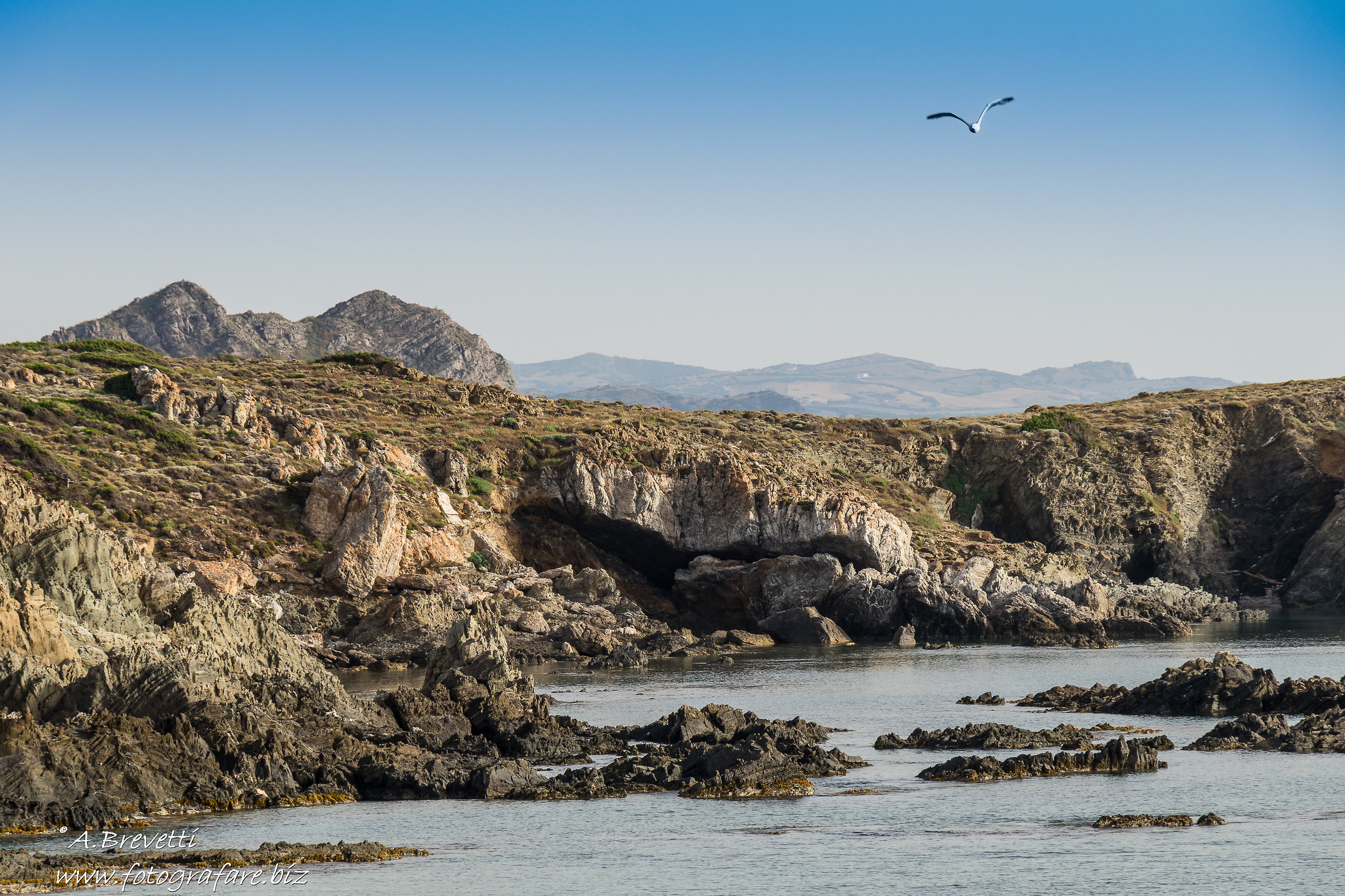 In volo... su Coscia di Donna