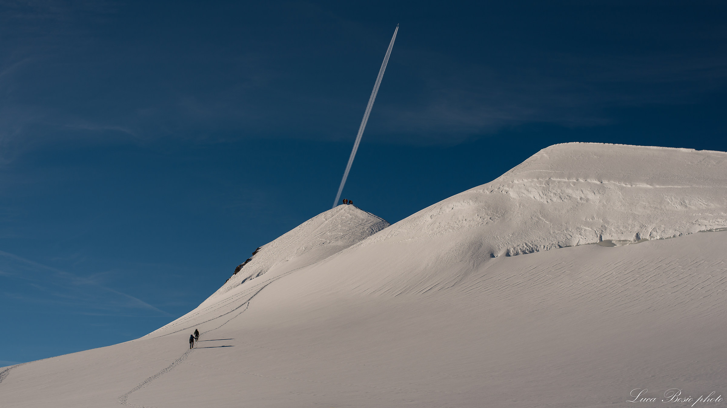 Segment on the Parrot