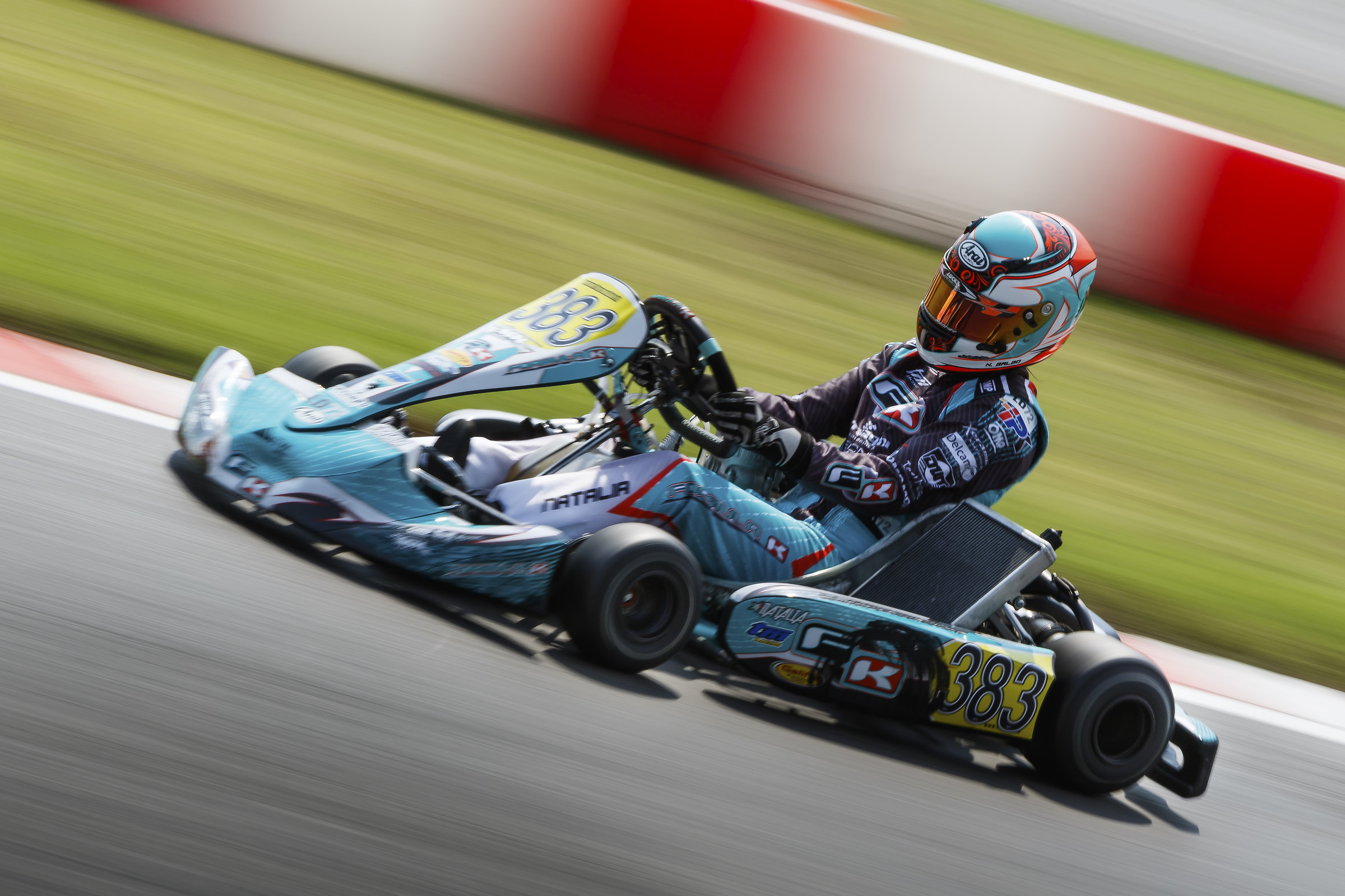 cik-fia European KZ2 Championship 2018