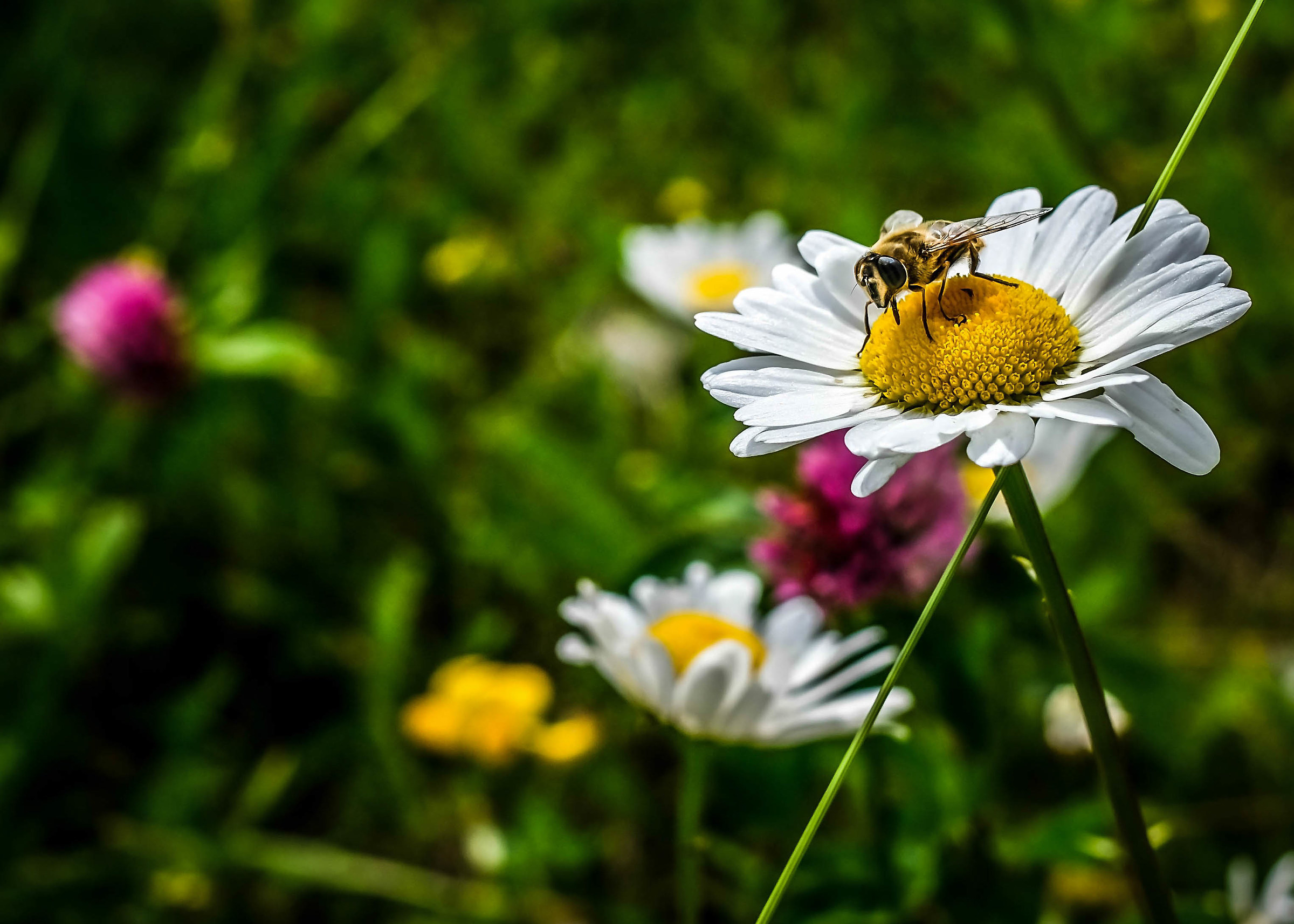 Well... nothing to say! Observe