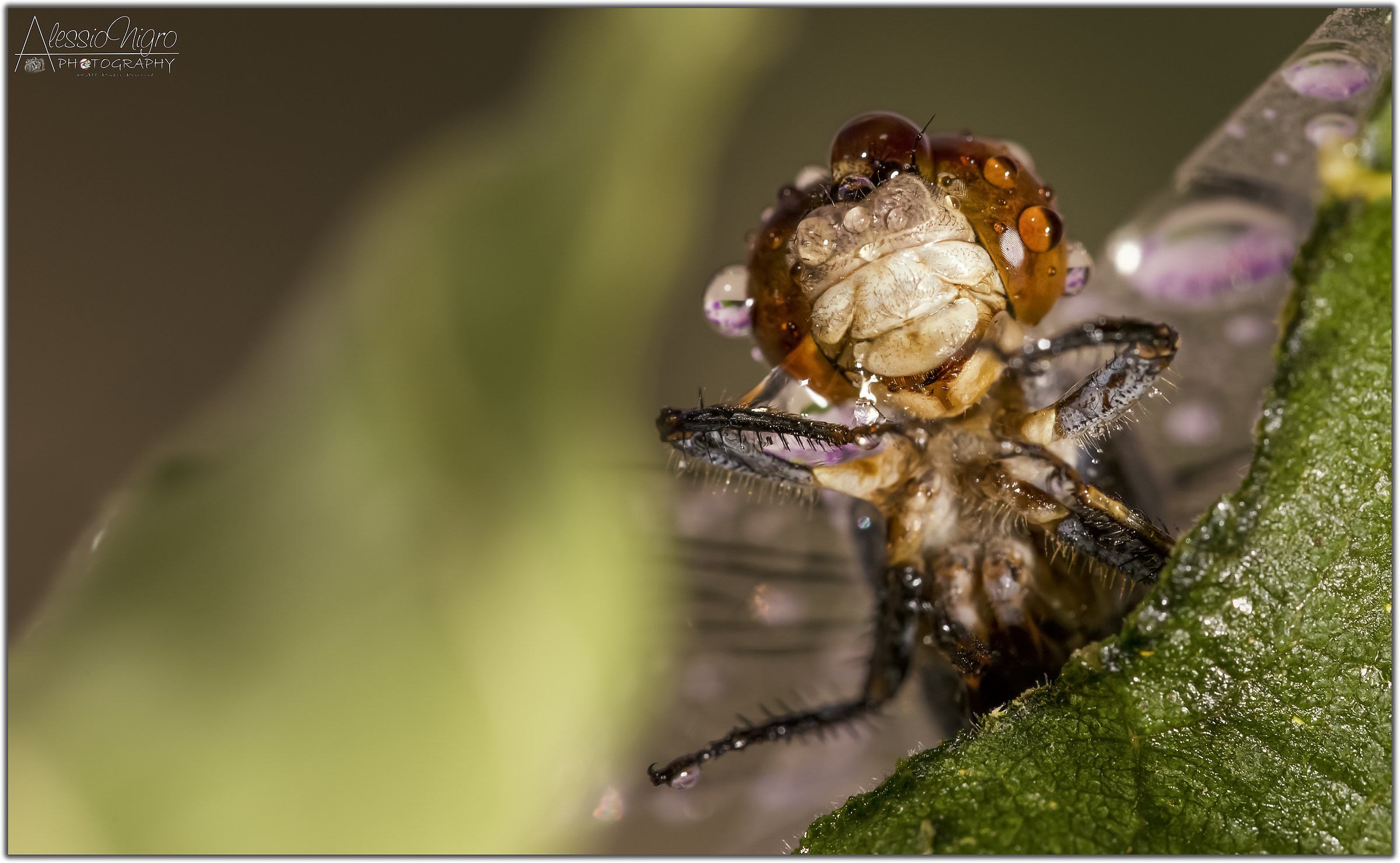 I take a shower and go out...