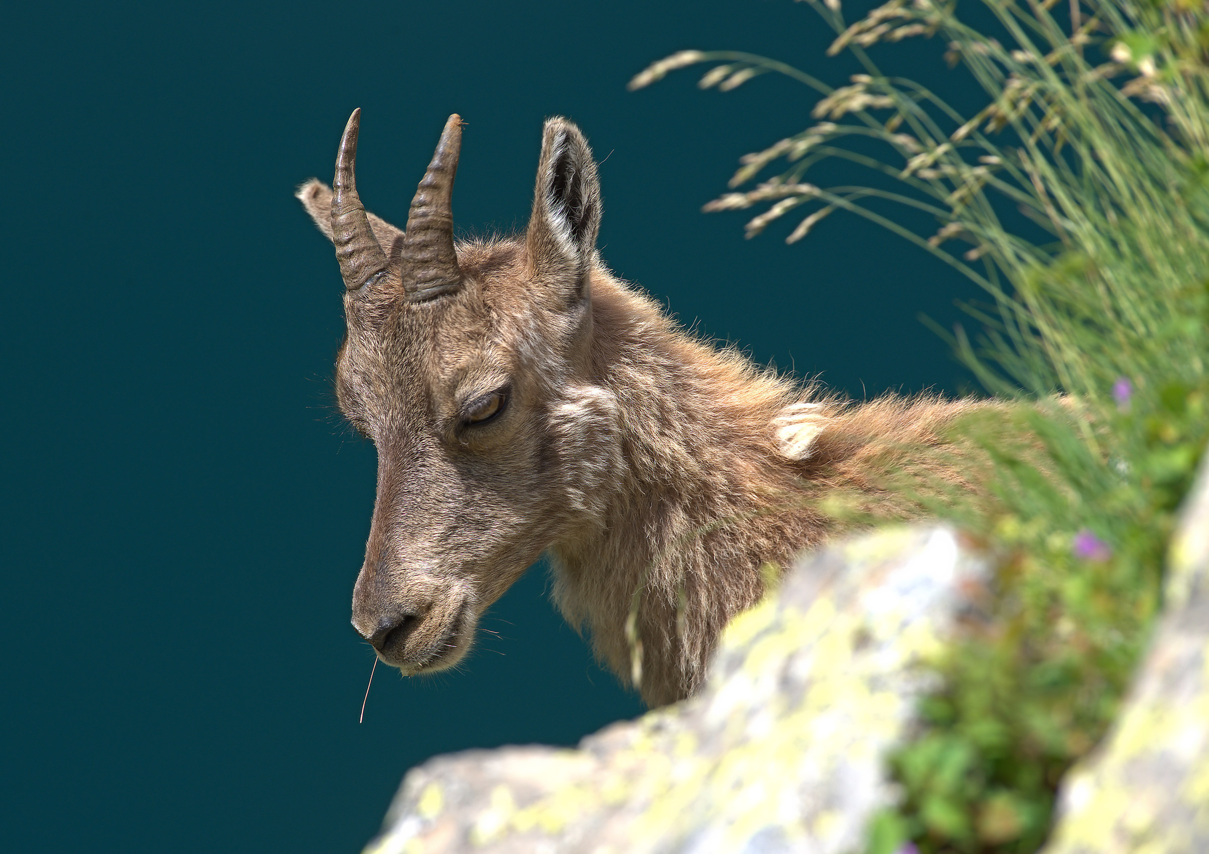 On the verge of precipice